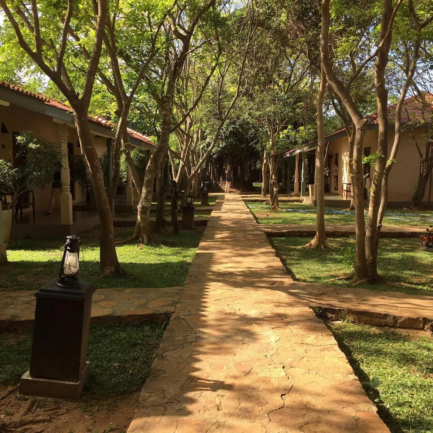 Property building in Kassapa Lions Rock