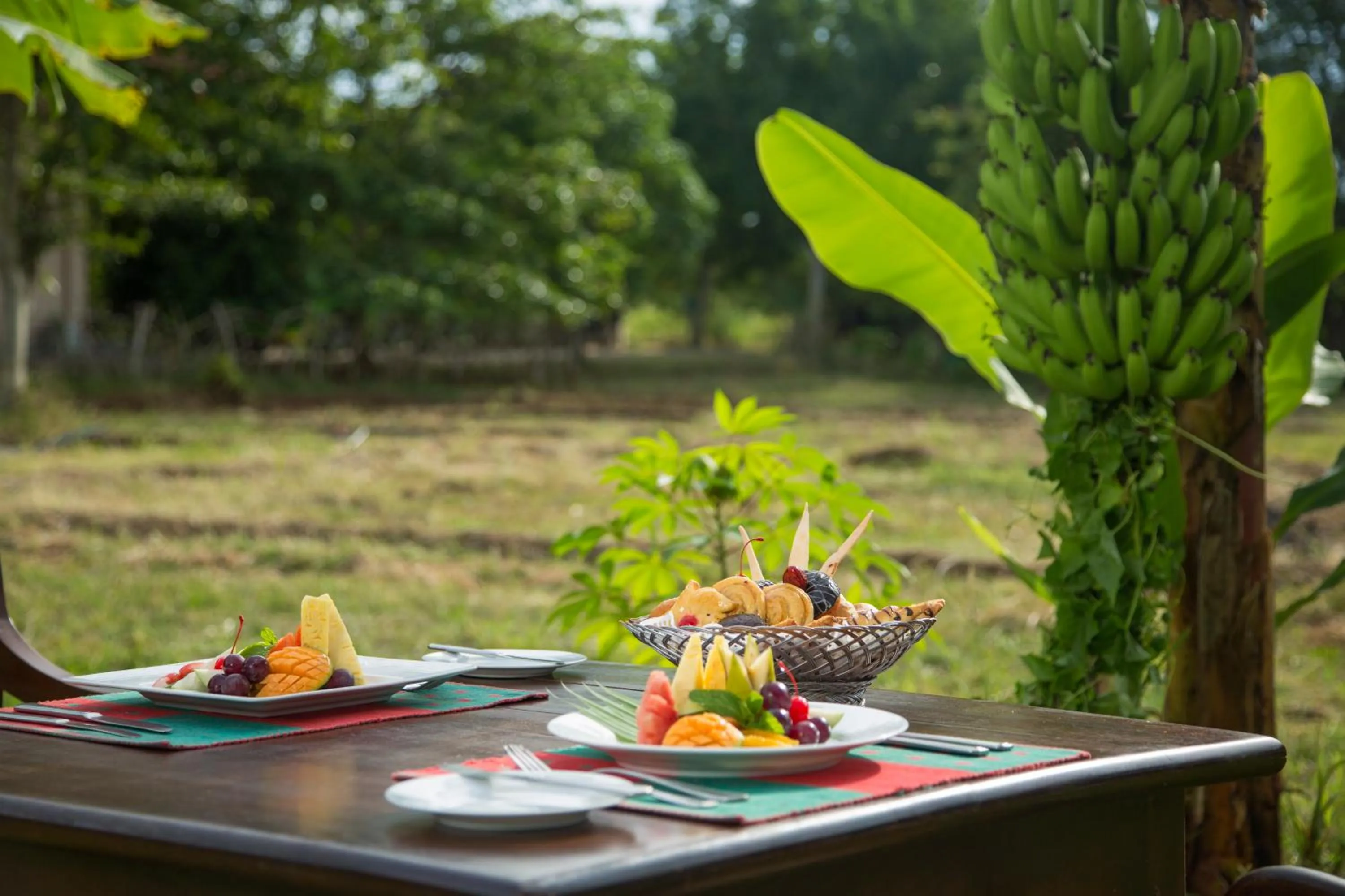 Food and drinks in Kassapa Lions Rock