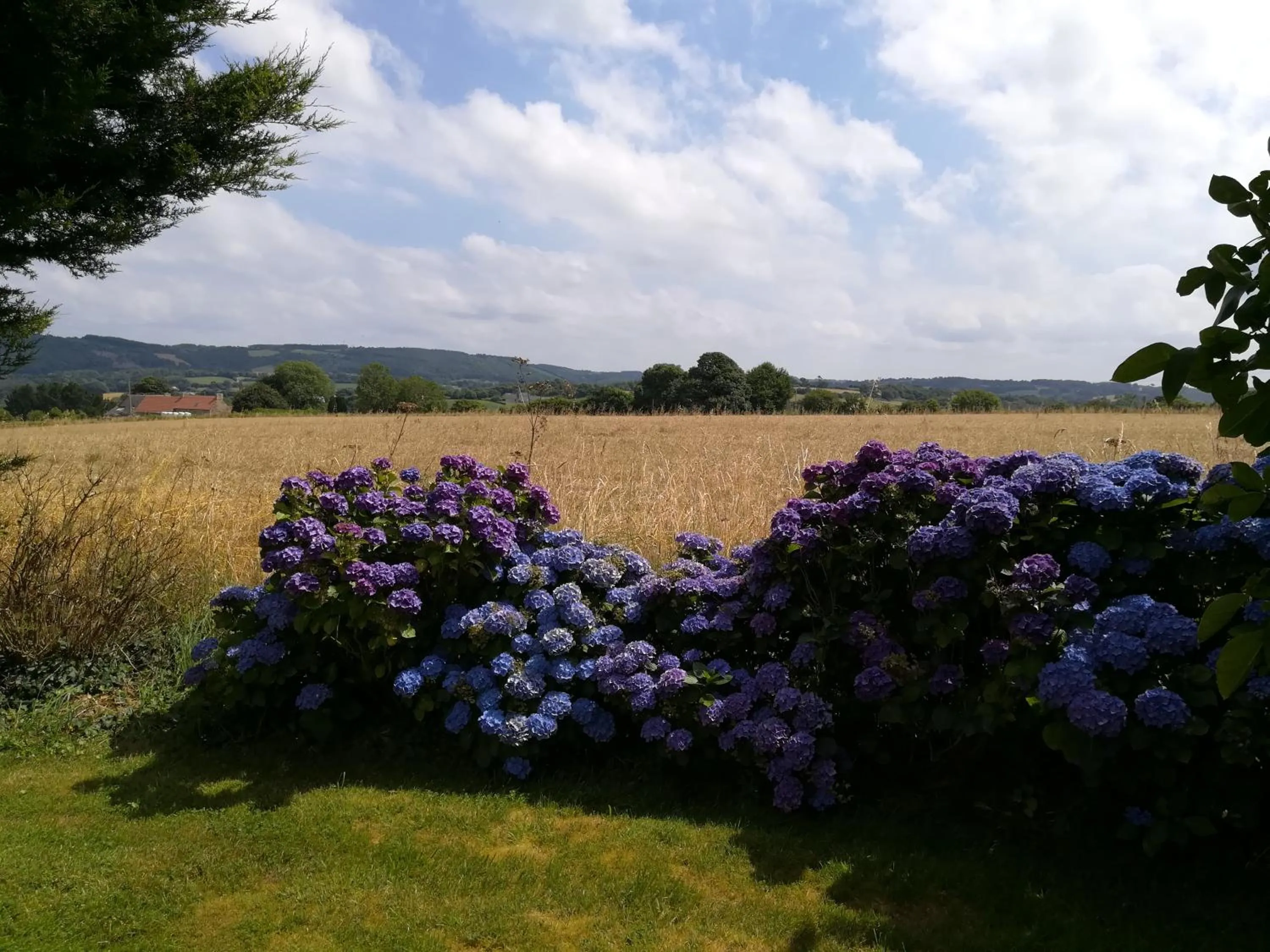 Natural landscape in Chez Herveline Le Fer - Chambres et table d'hôtes