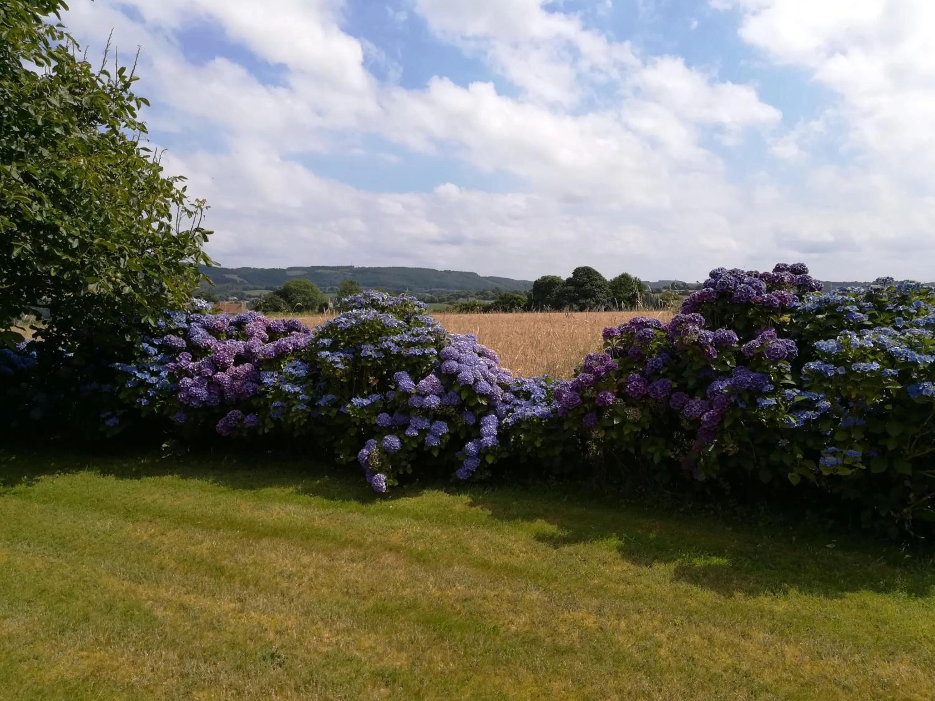 Natural landscape in Chez Herveline Le Fer - Chambres et table d'hôtes