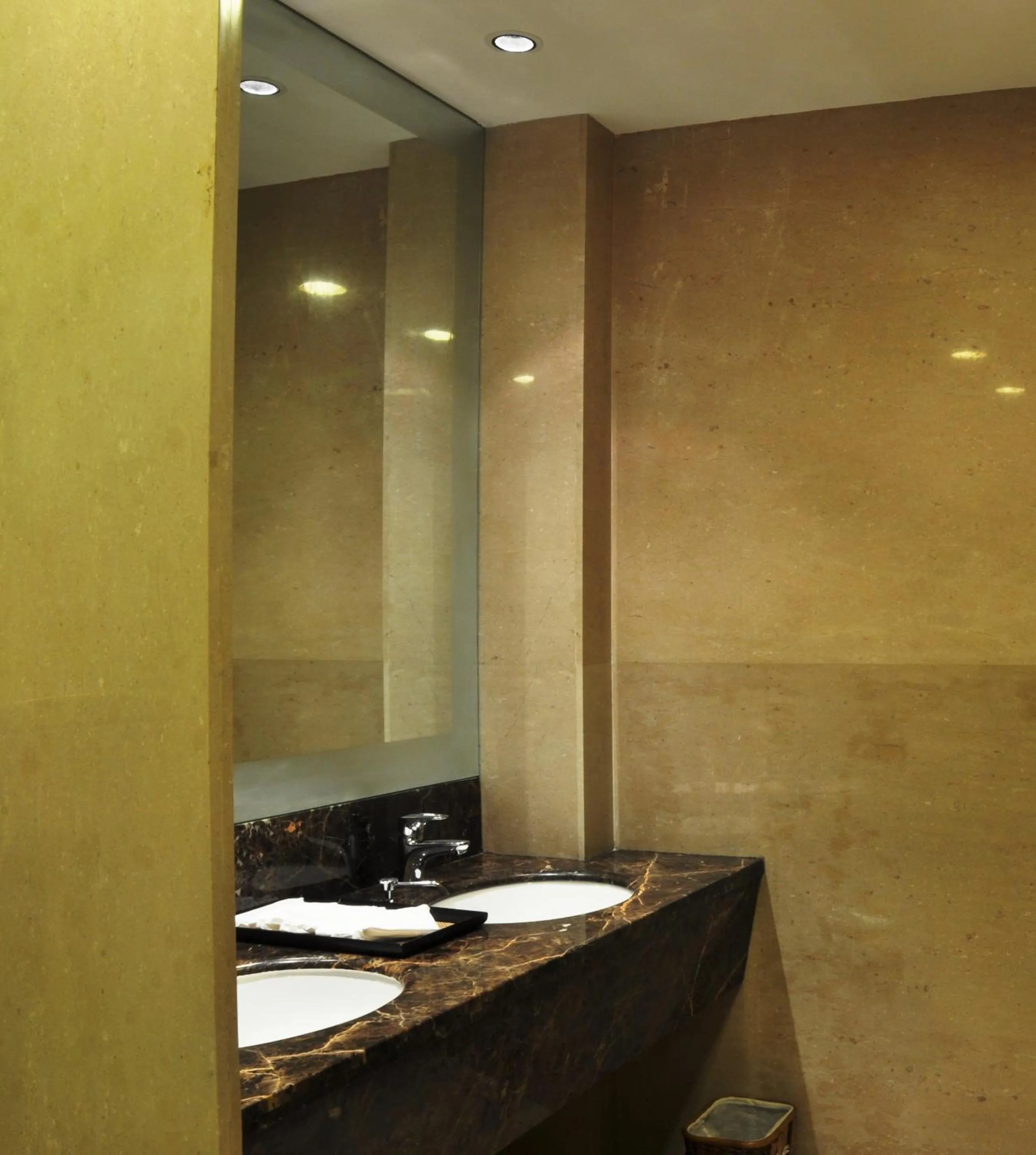 Toilet in Adarsh Hamilton