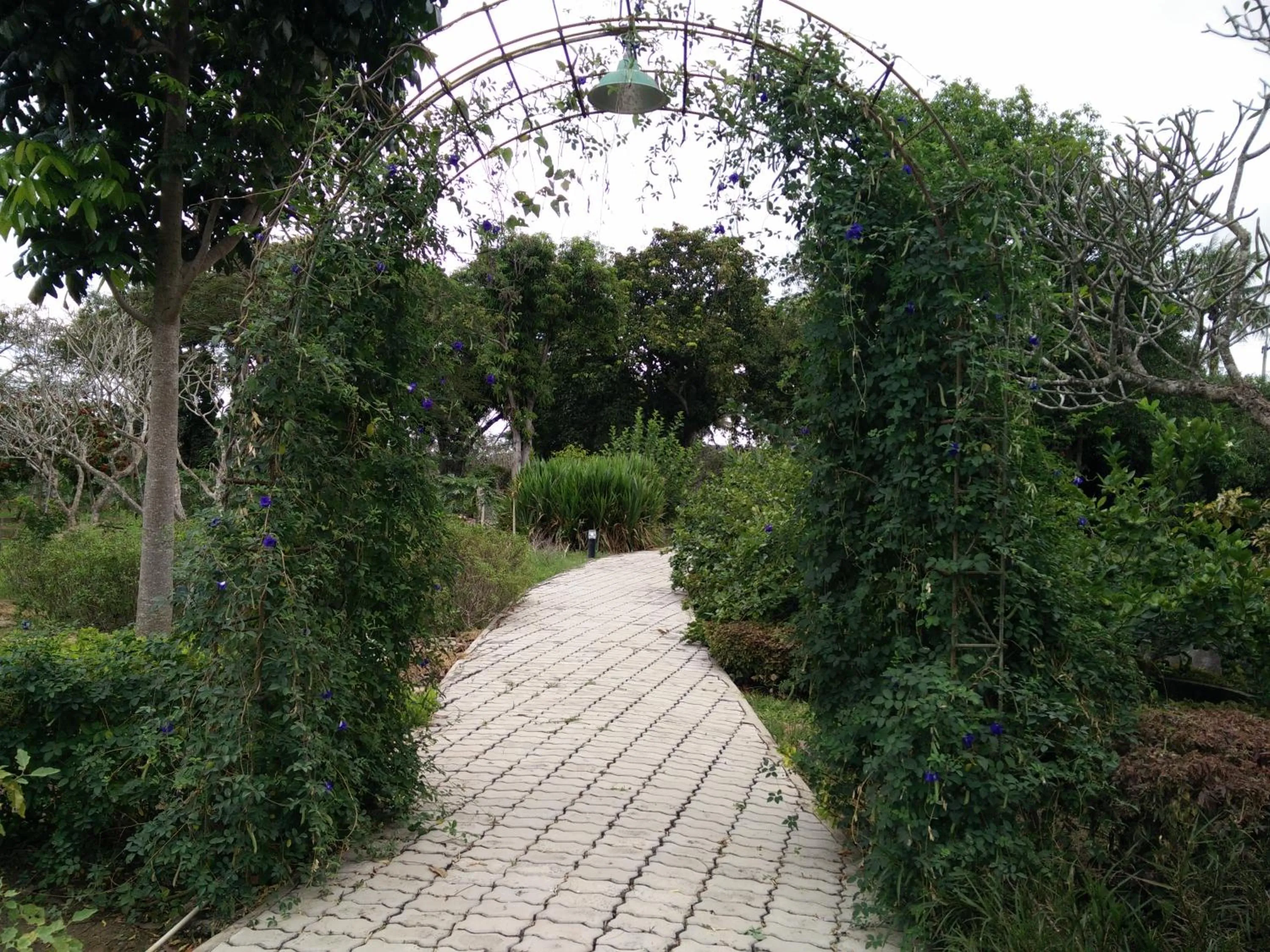 Garden in Lilawalai Resort