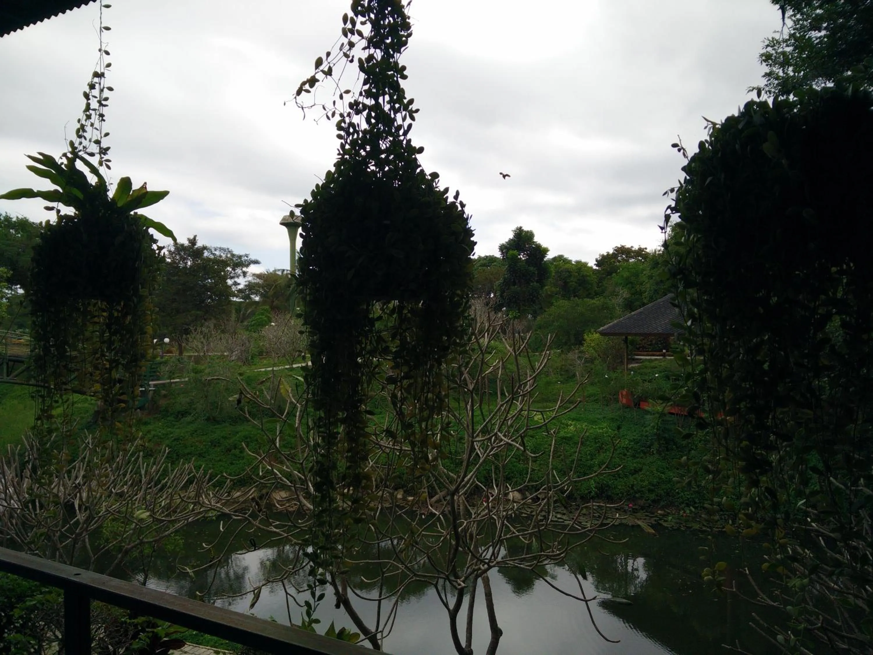 View (from property/room) in Lilawalai Resort