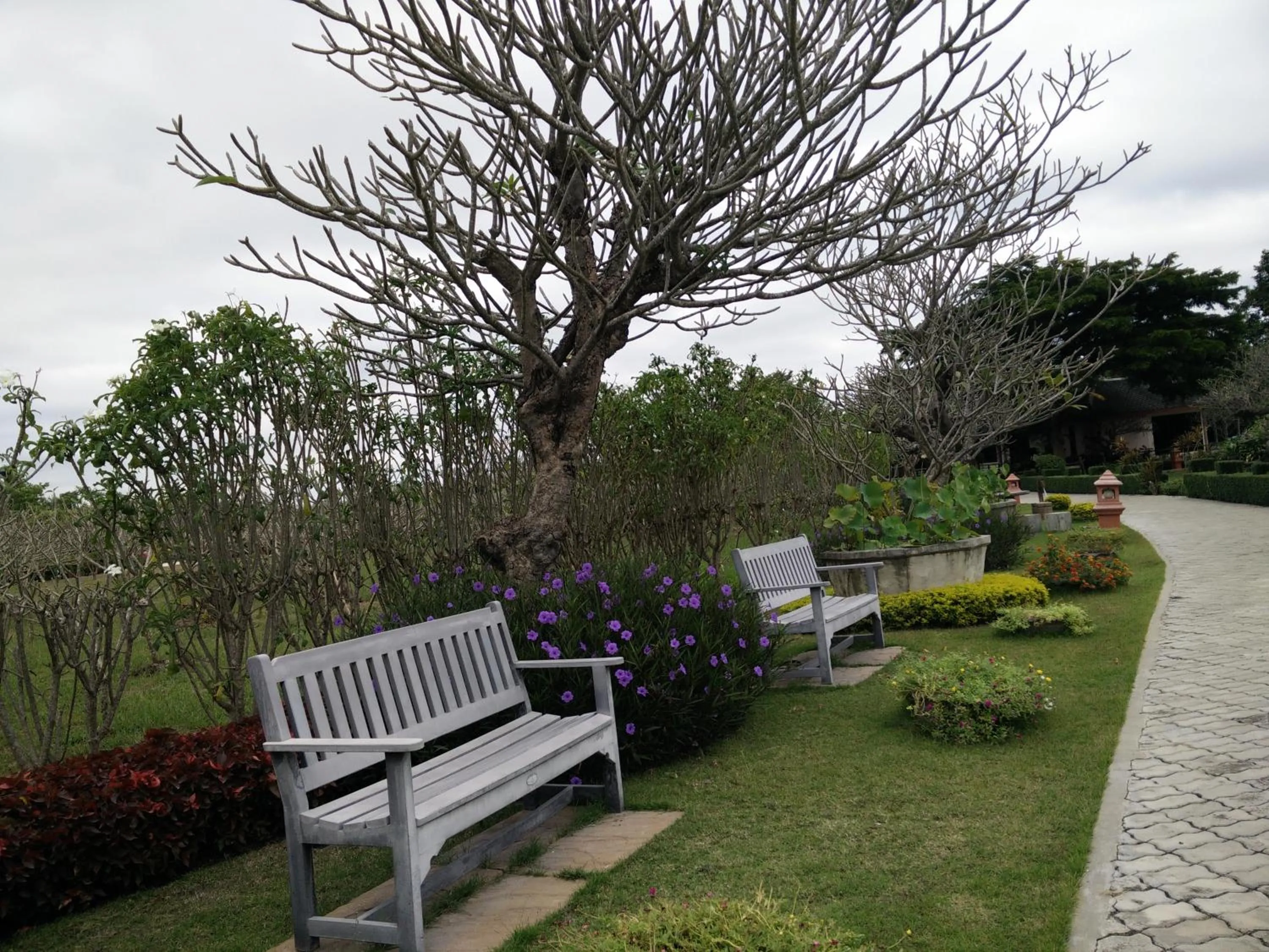 Garden in Lilawalai Resort