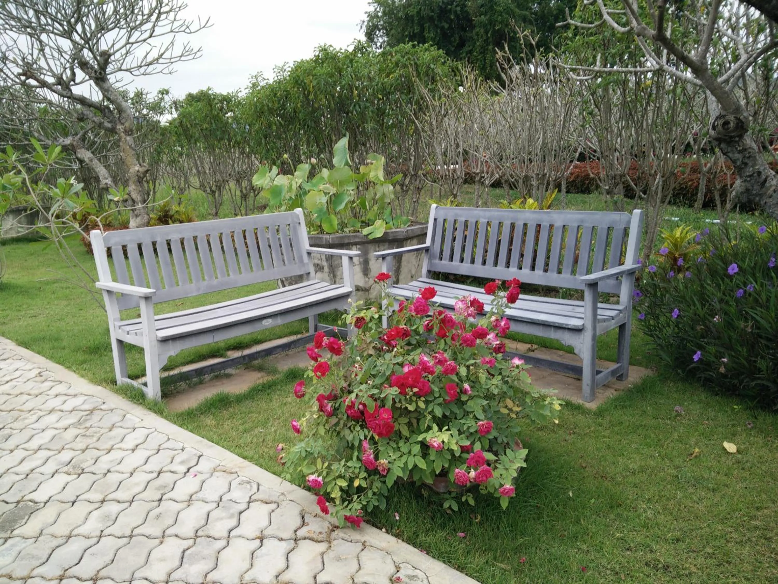 Spring in Lilawalai Resort