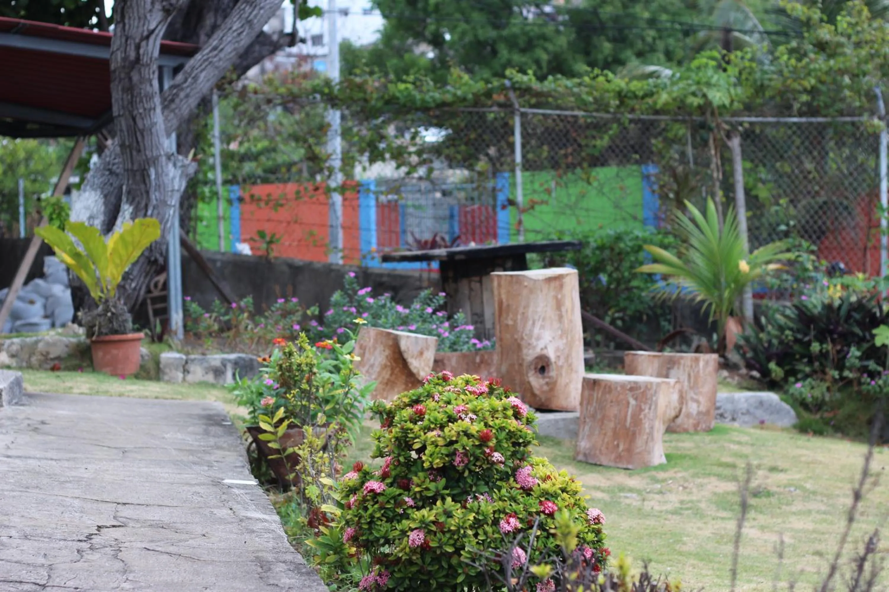 Posada Nativa Miss Trinie