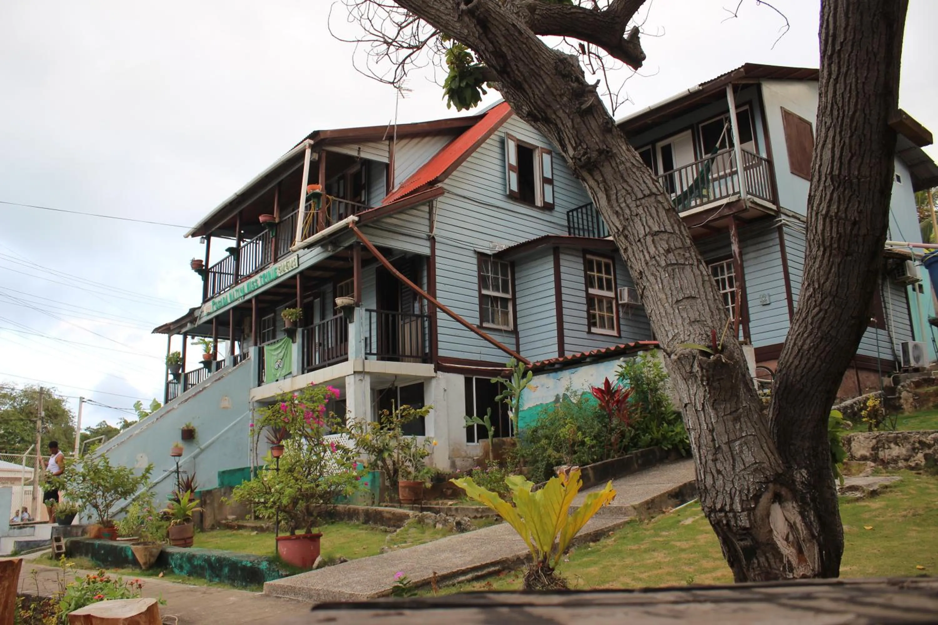 Posada Nativa Miss Trinie