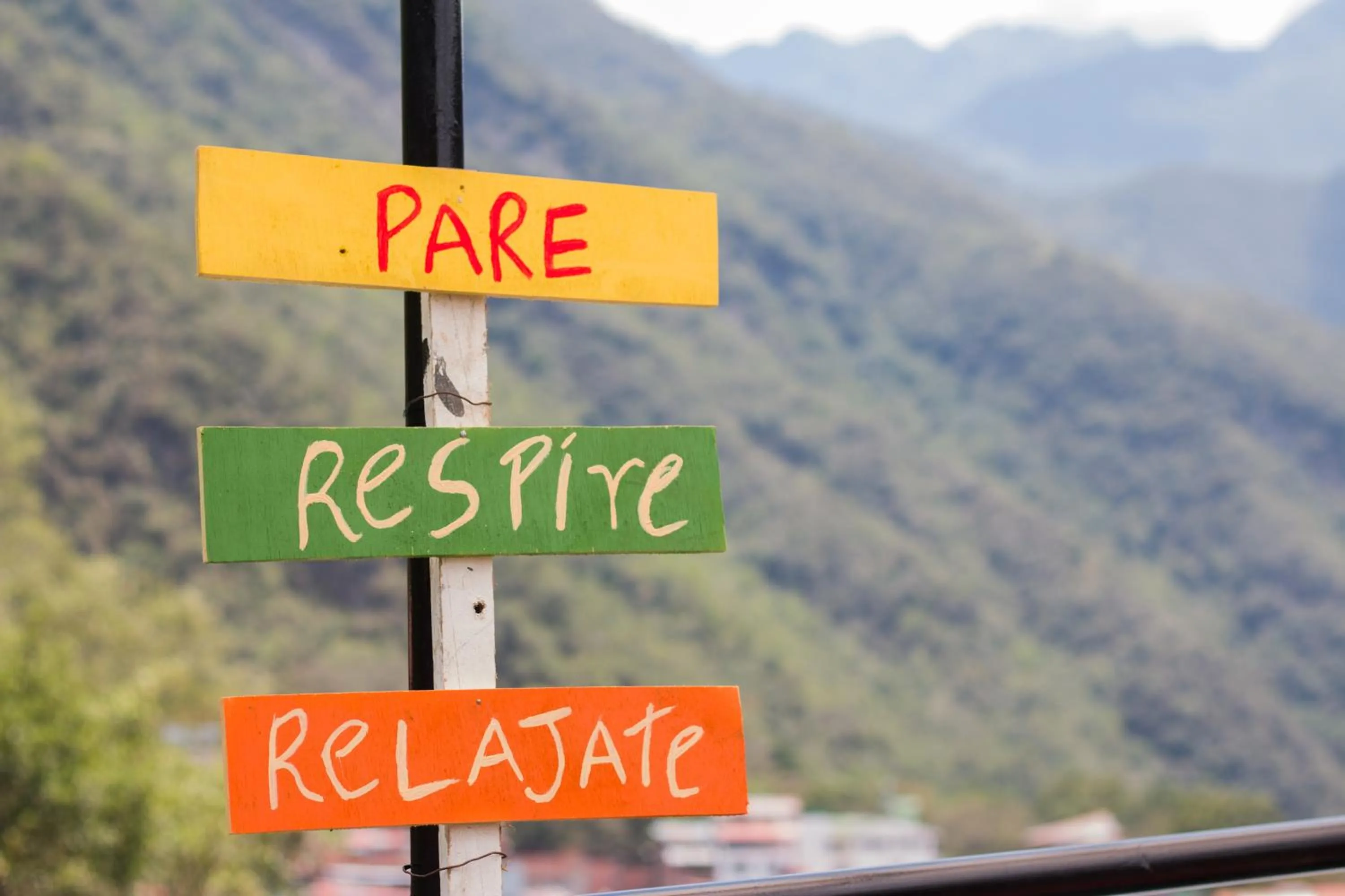 Day in Supertramp Hostel Machupicchu