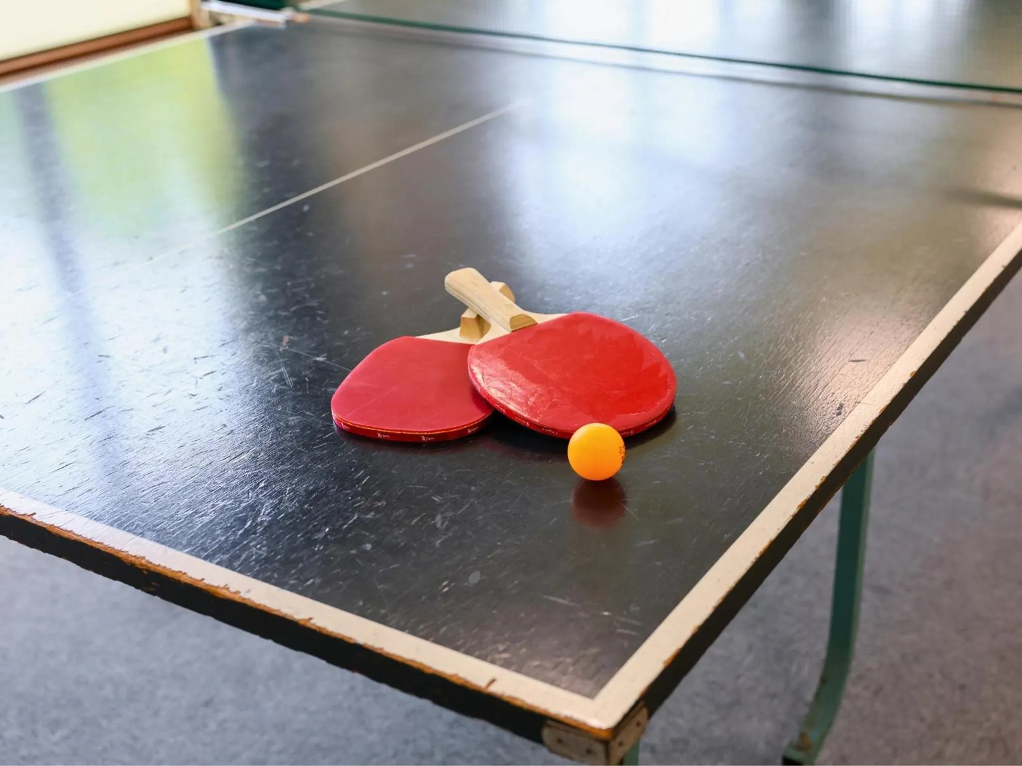 Table tennis in Ikoi no mura Notohanto