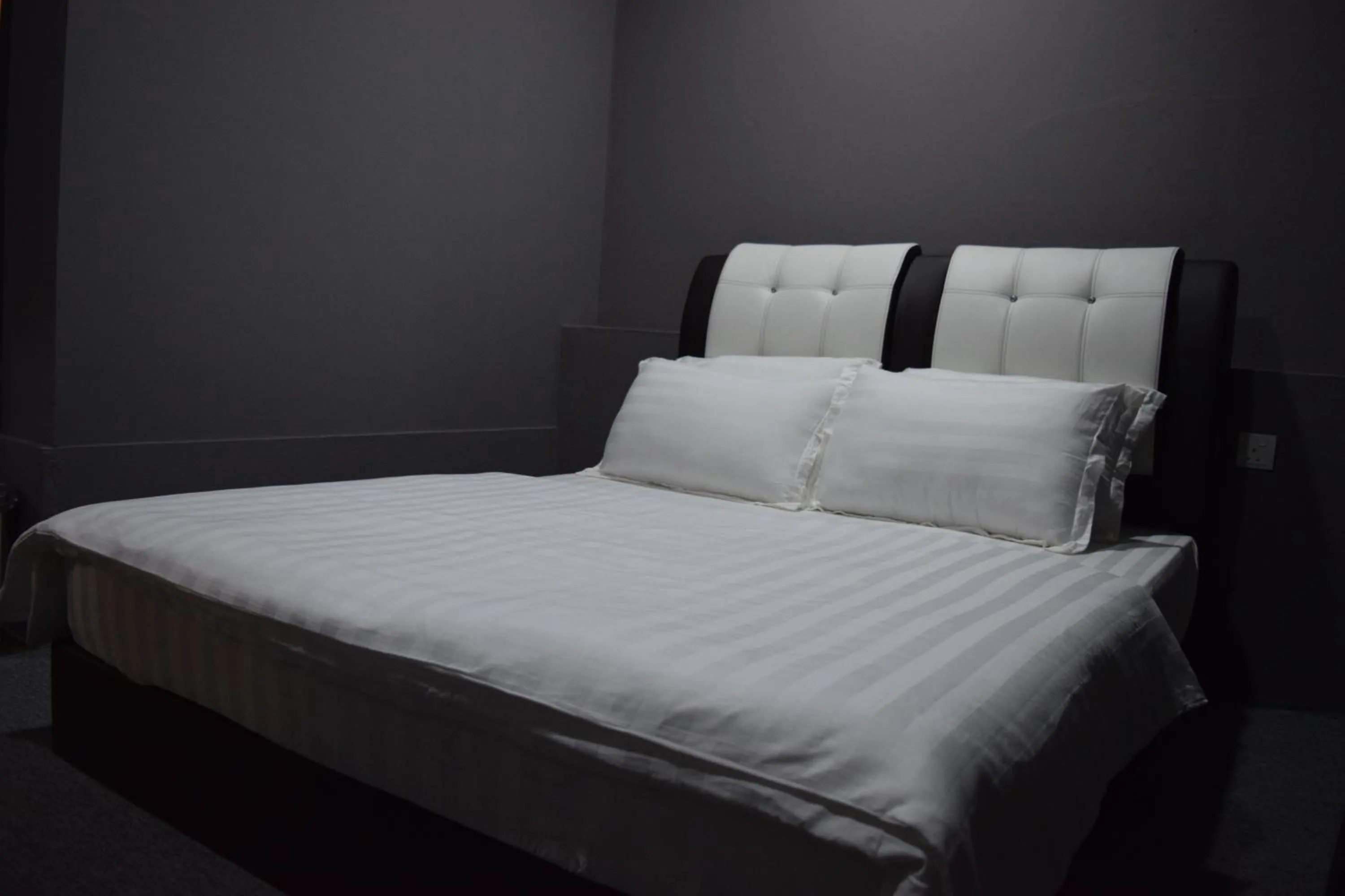 Times Traveller Lodge 2