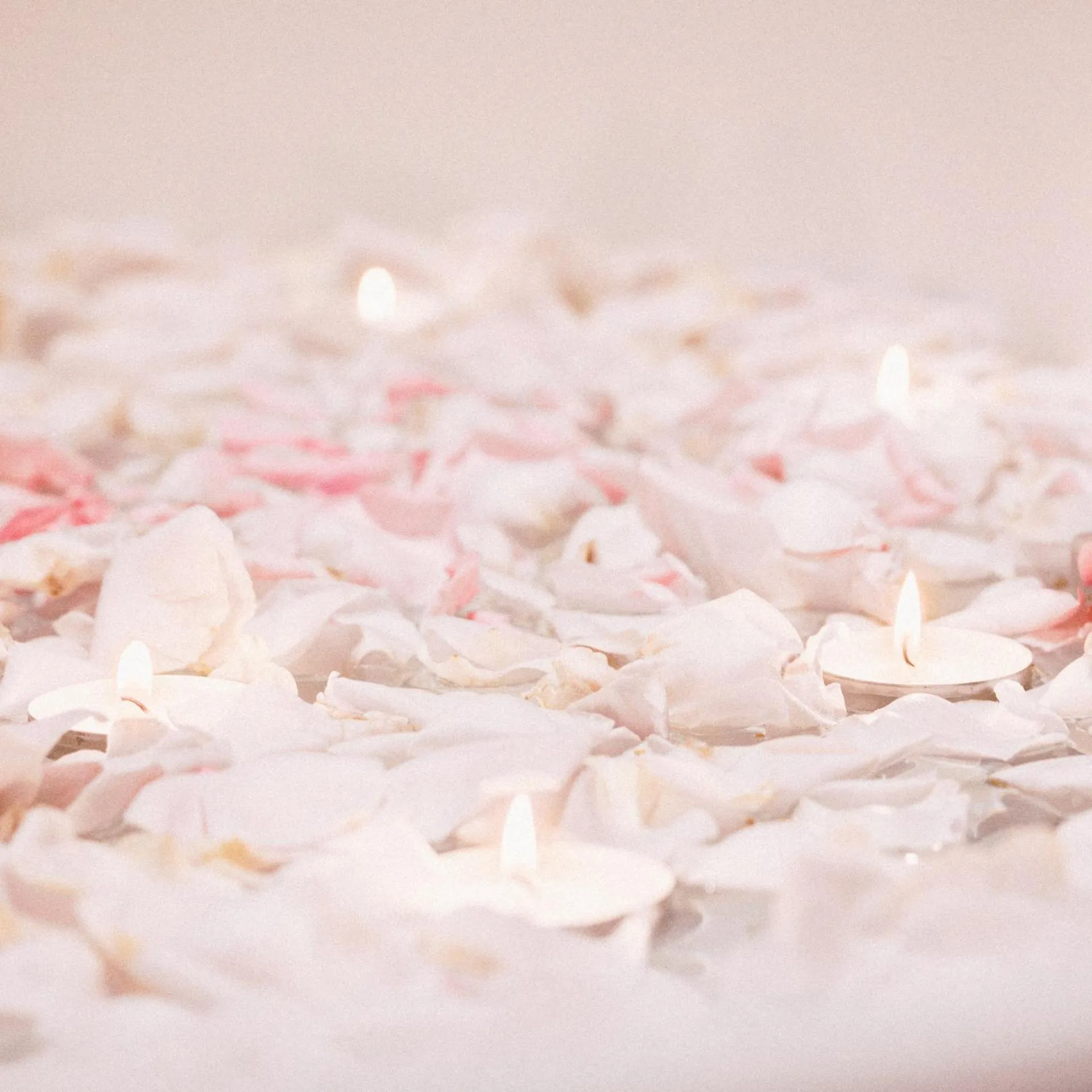 Decorative detail in Le Pre de la Mer