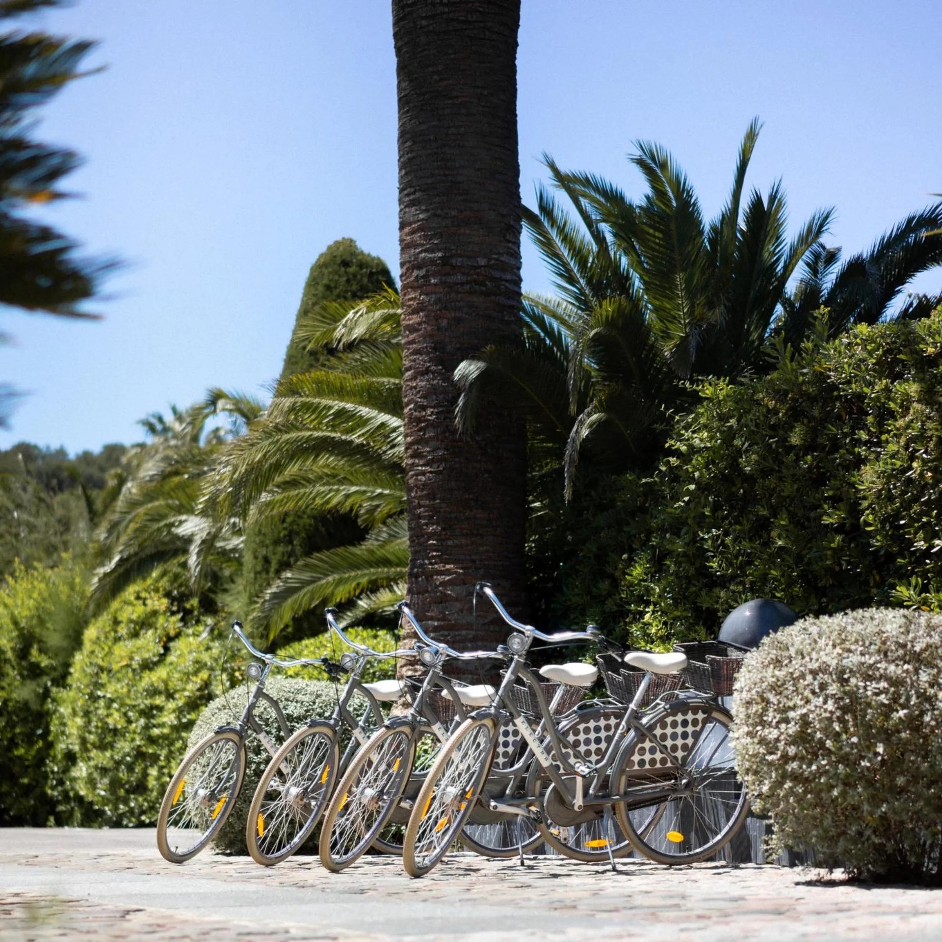 Sports in Le Pre de la Mer