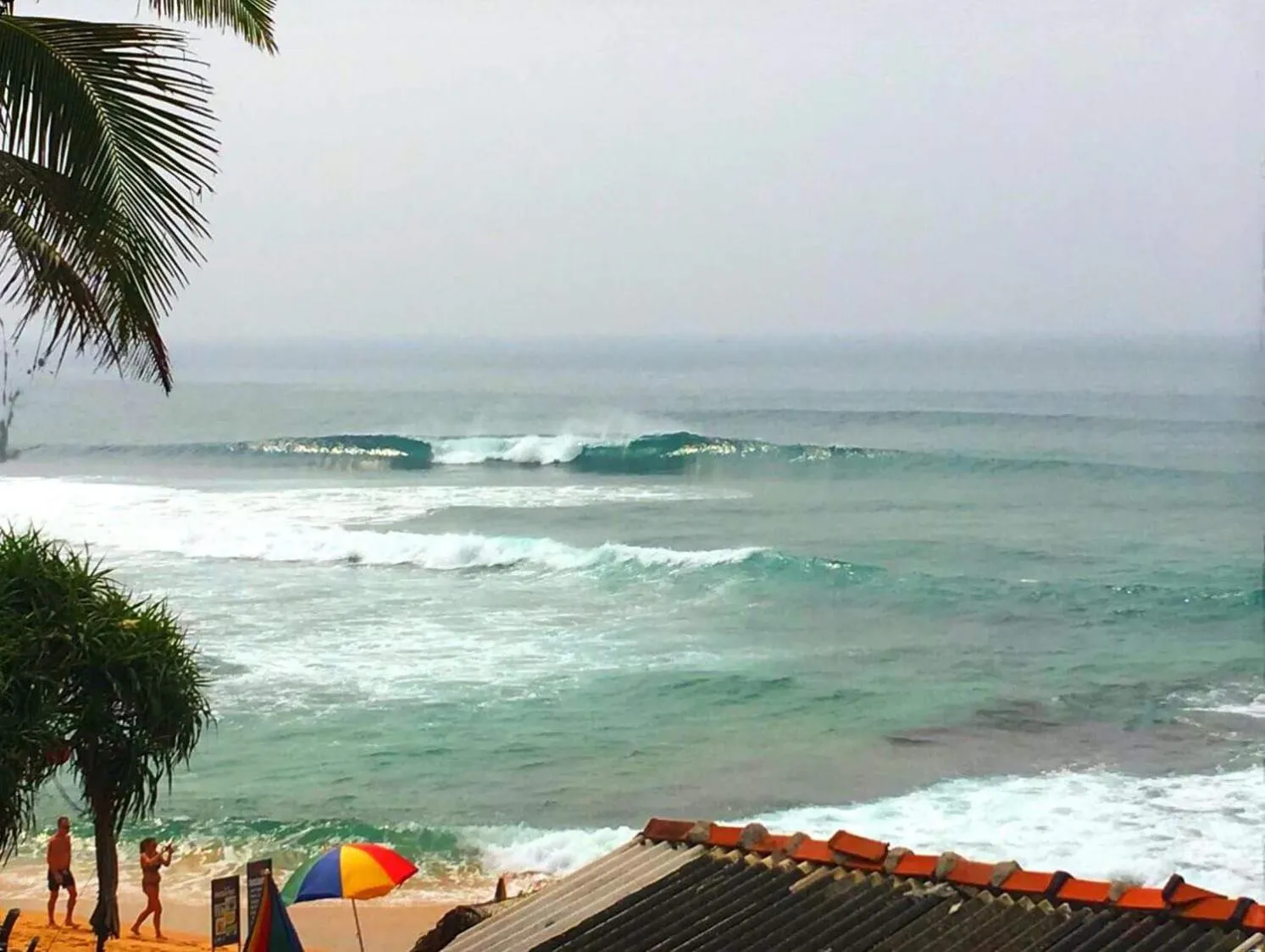 Natural landscape in Hotel Remember