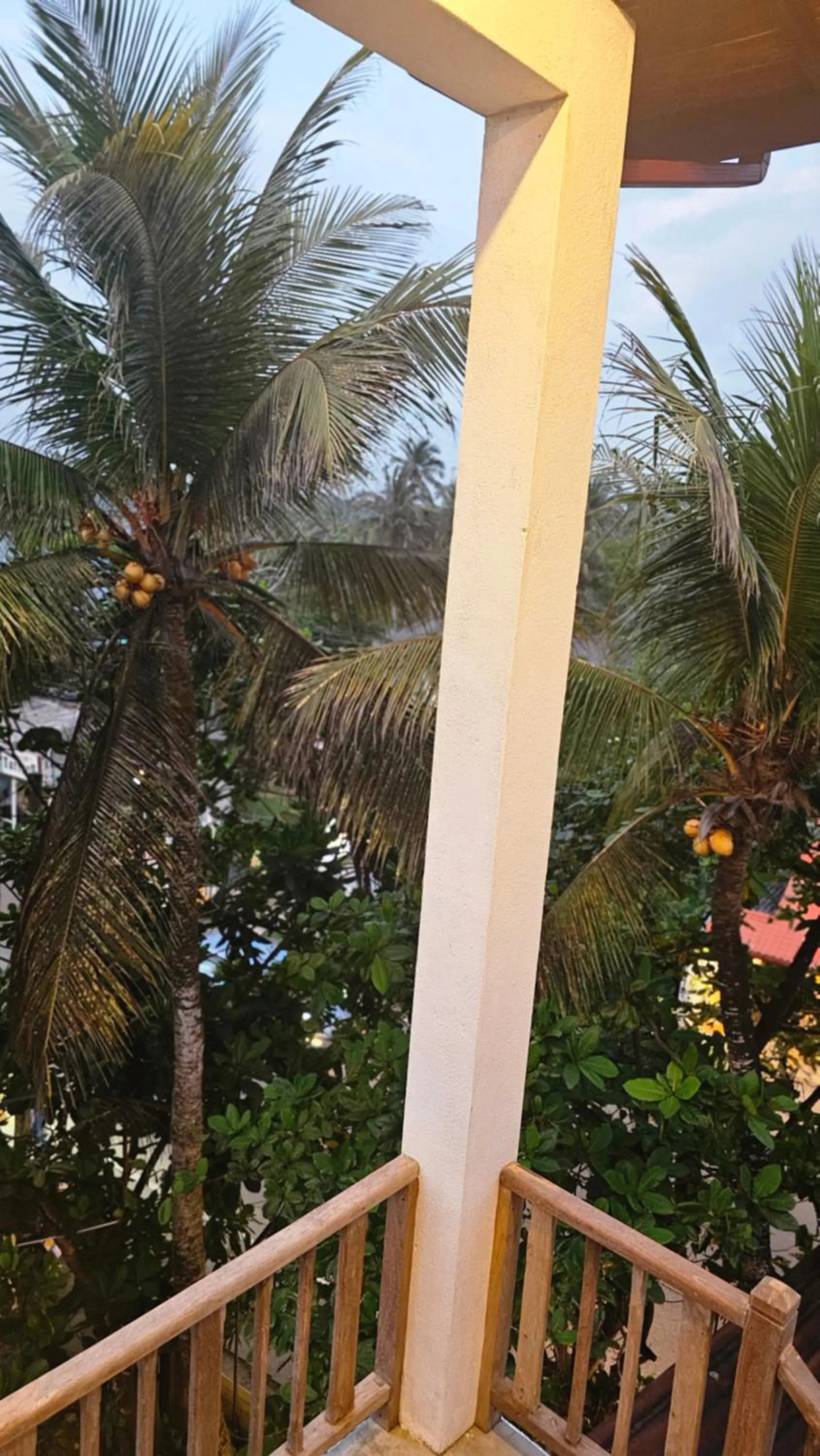 Garden view in Hotel Remember