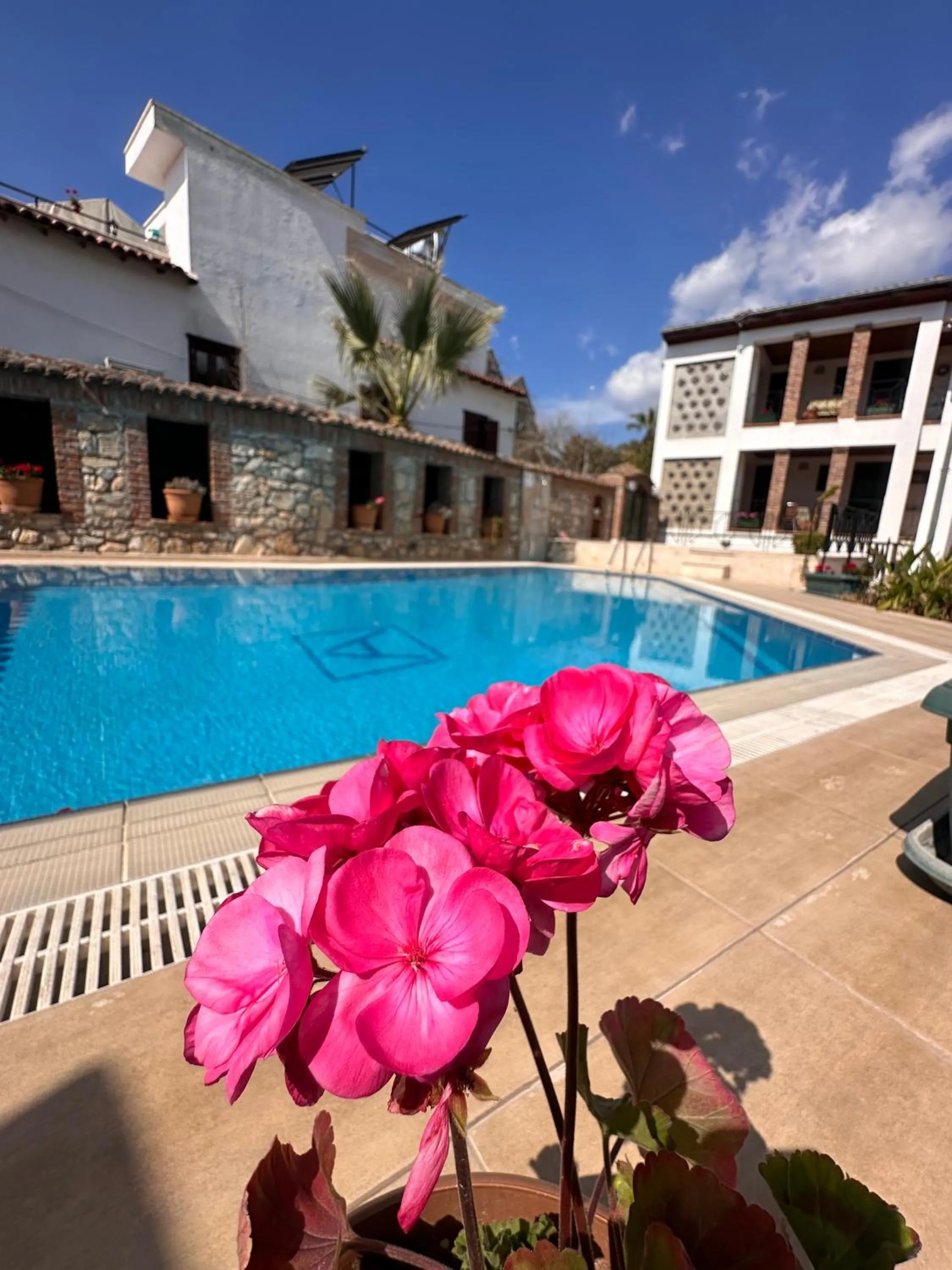 Pool view in Akay Hotel
