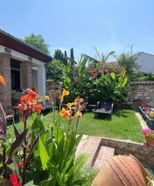 Garden view in Akay Hotel