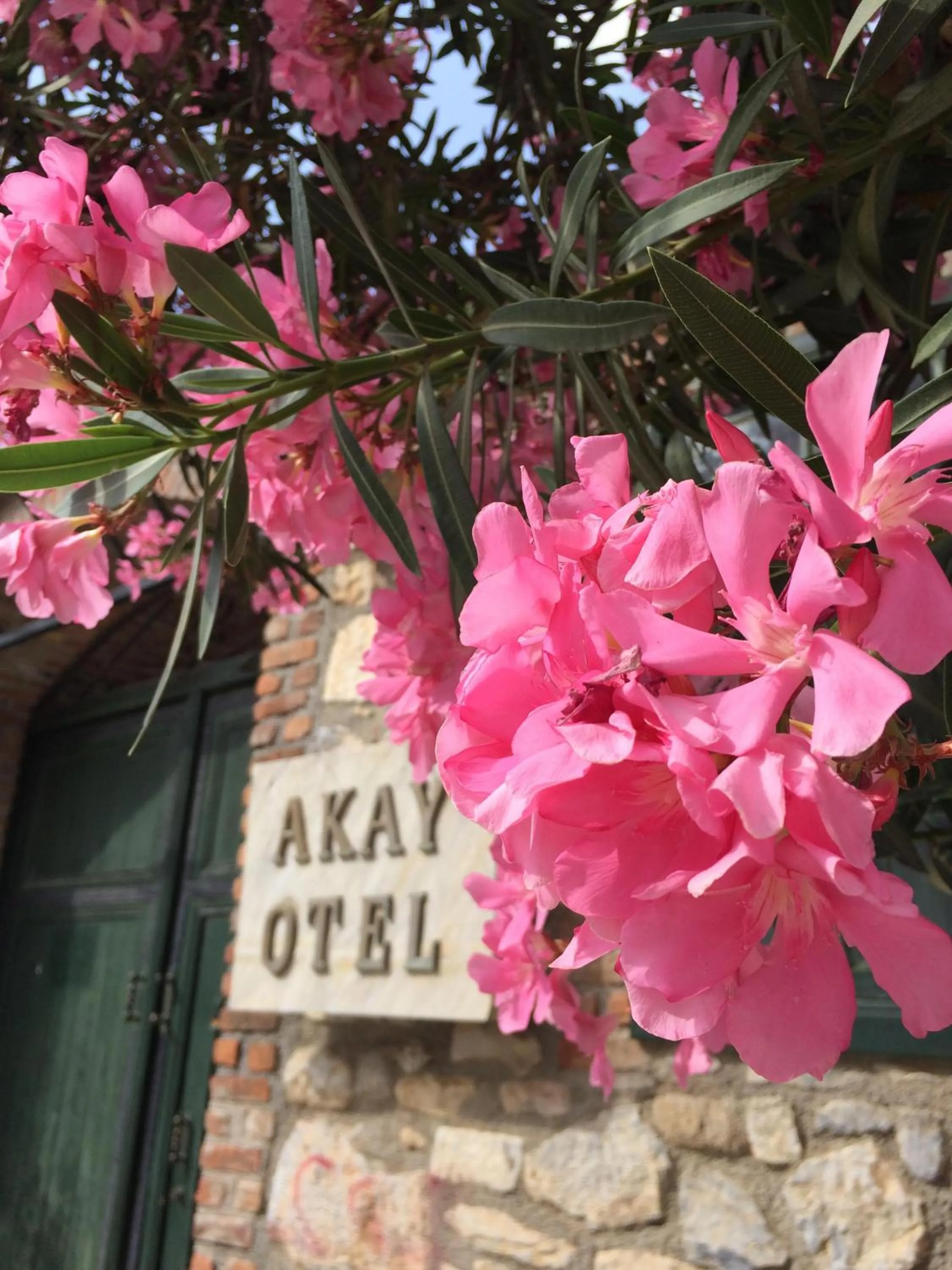 Spring in Akay Hotel