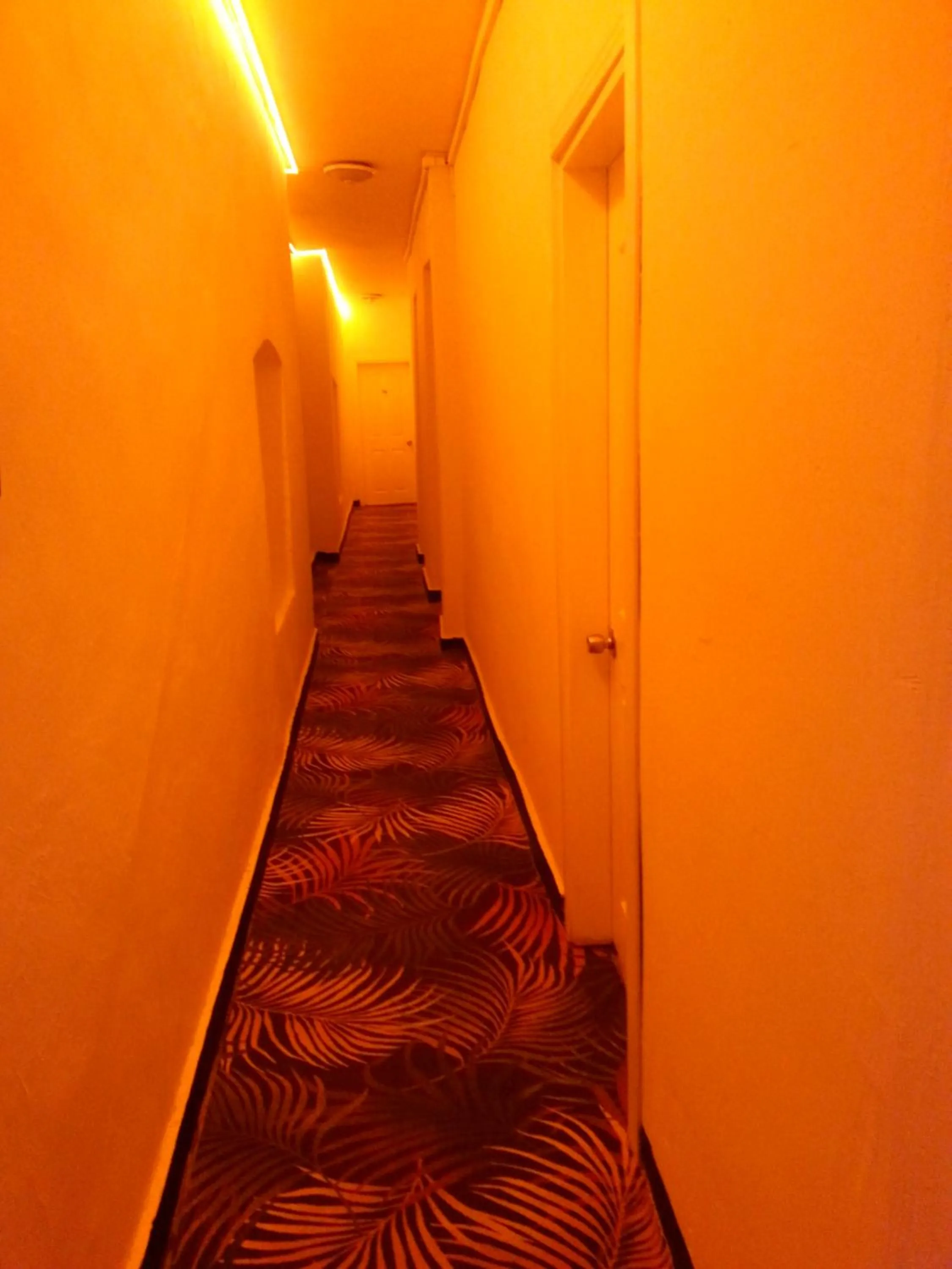 View (from property/room) in TAXİM HOSTEL