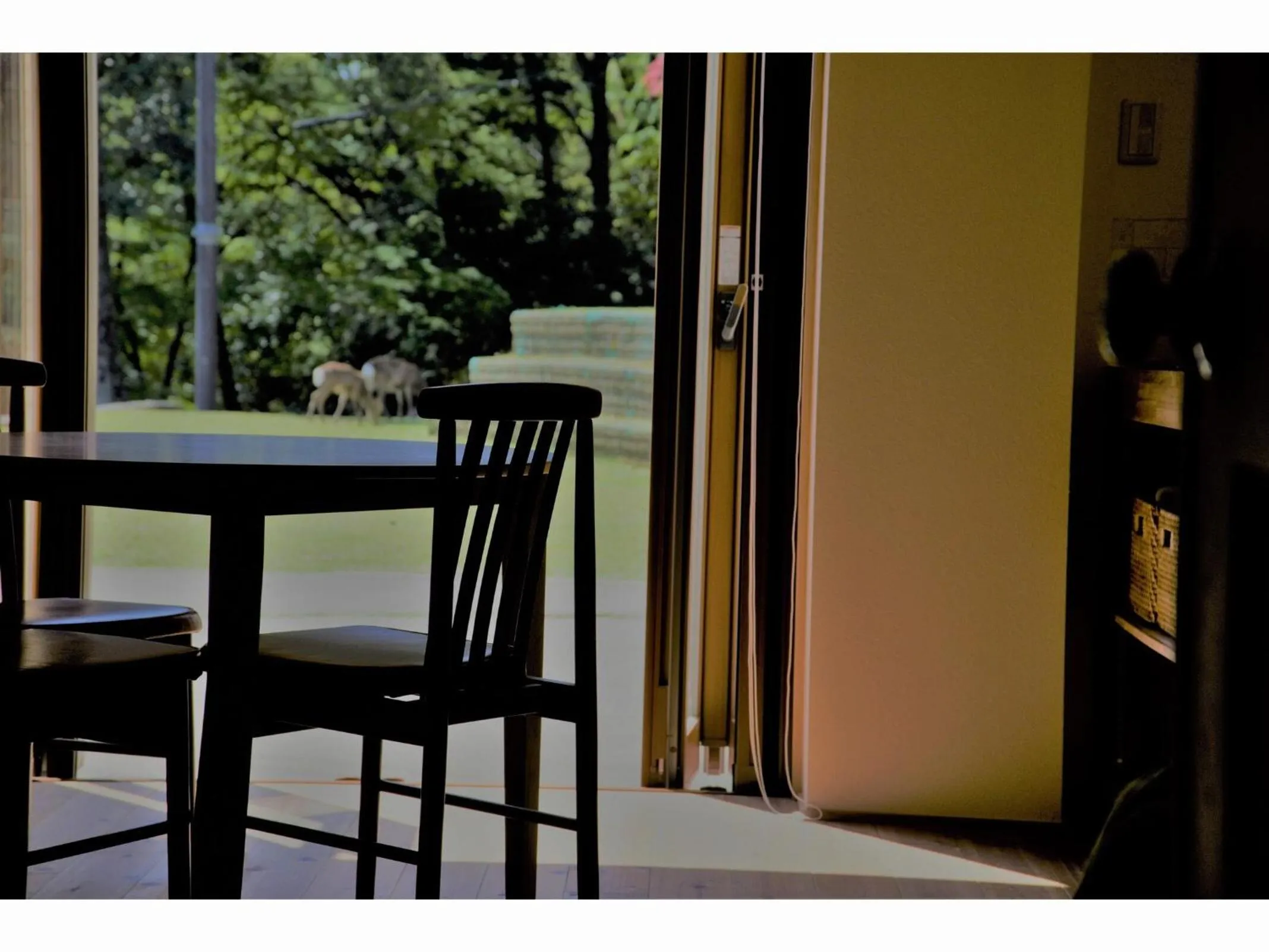 Mountain Home Lodge in Deer Park