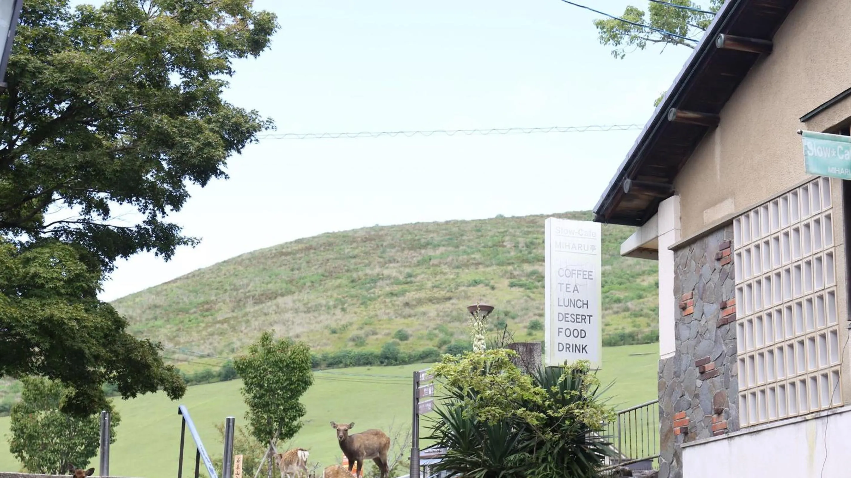 Mountain Home Lodge in Deer Park