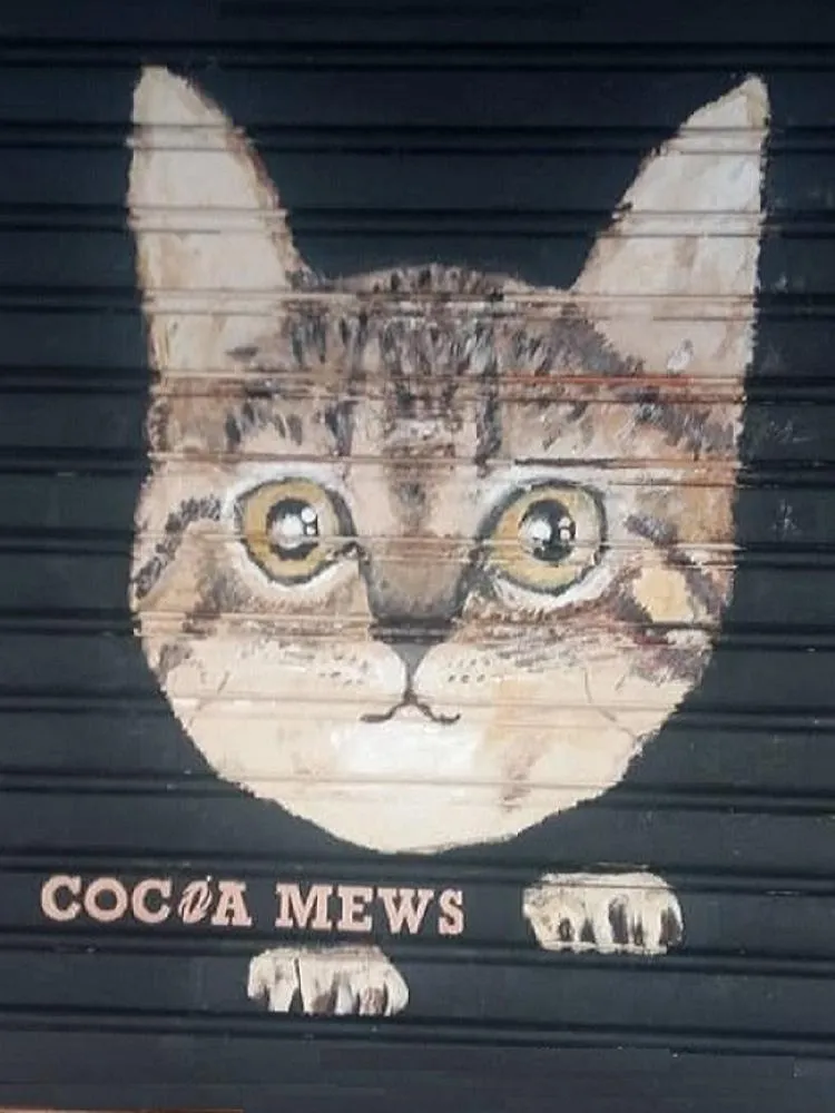 Cocoa Mews Cafe and Homestay