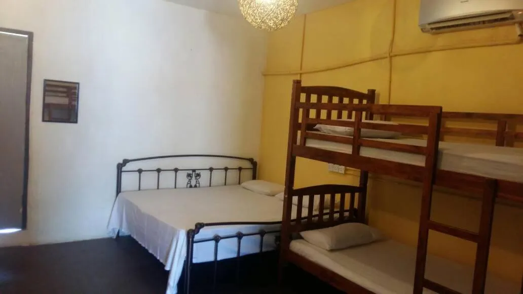 Bed in Cocoa Mews Cafe and Homestay