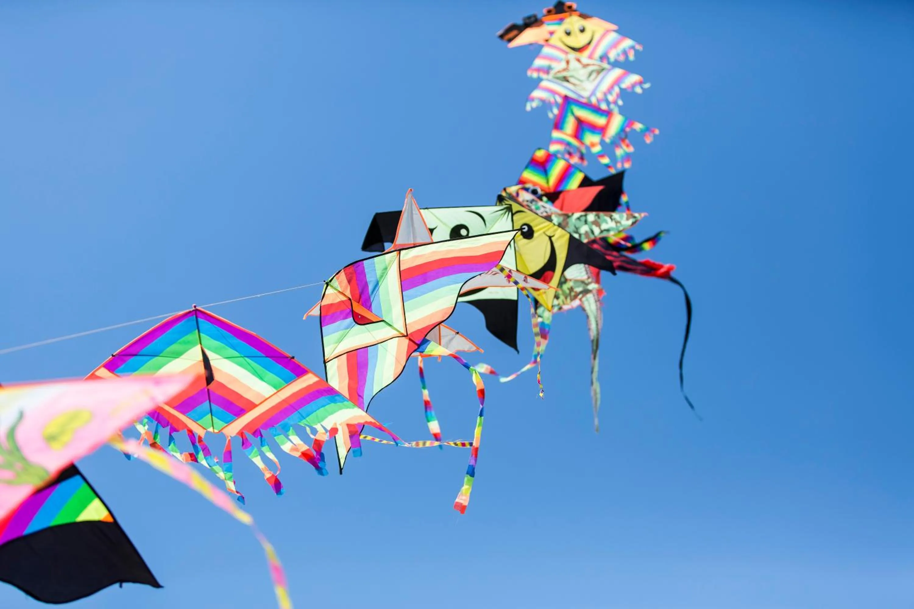 Day in Residenza Turistica Alberghiera Blue Marine