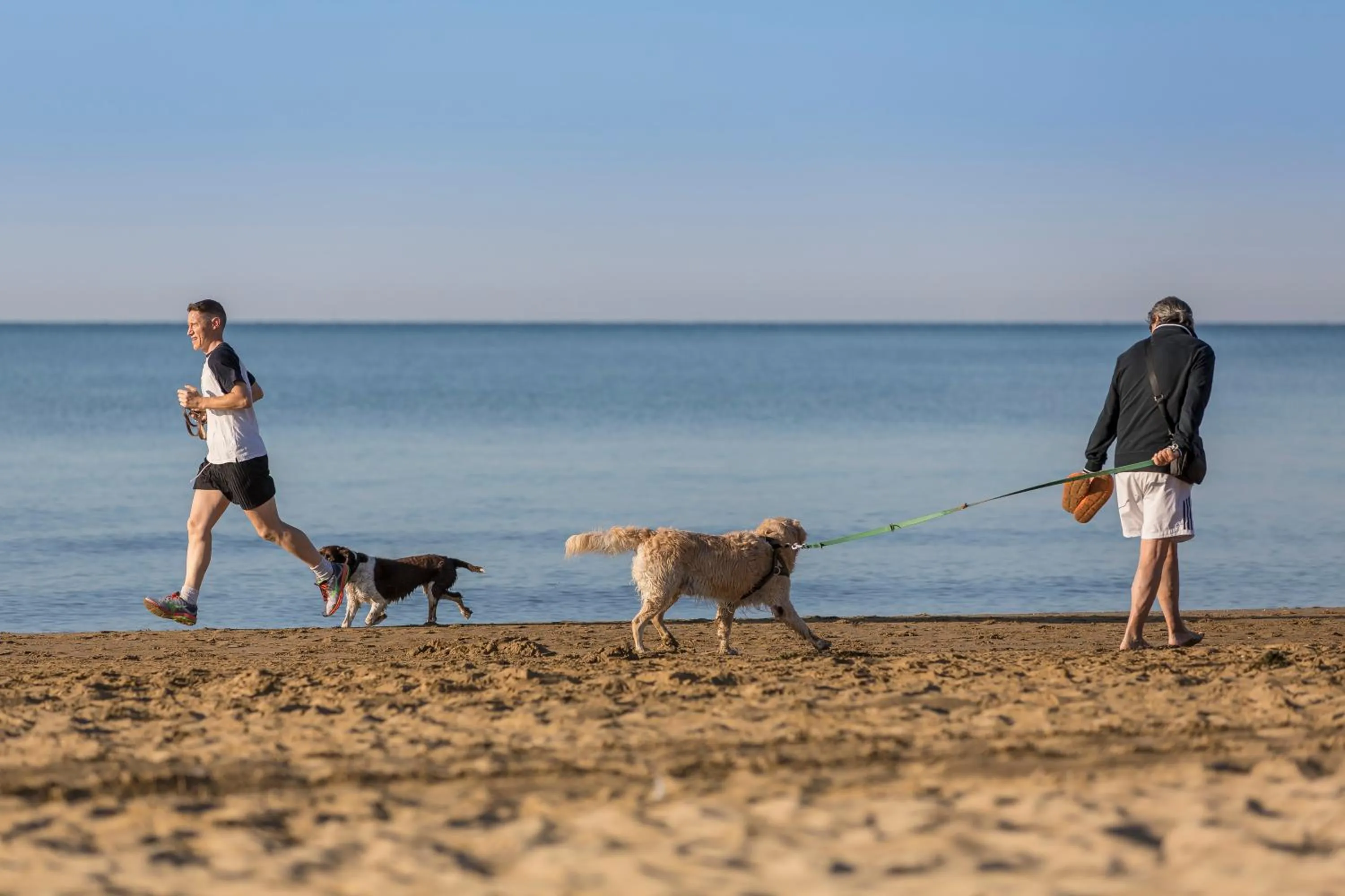 Animals in Residenza Turistica Alberghiera Blue Marine