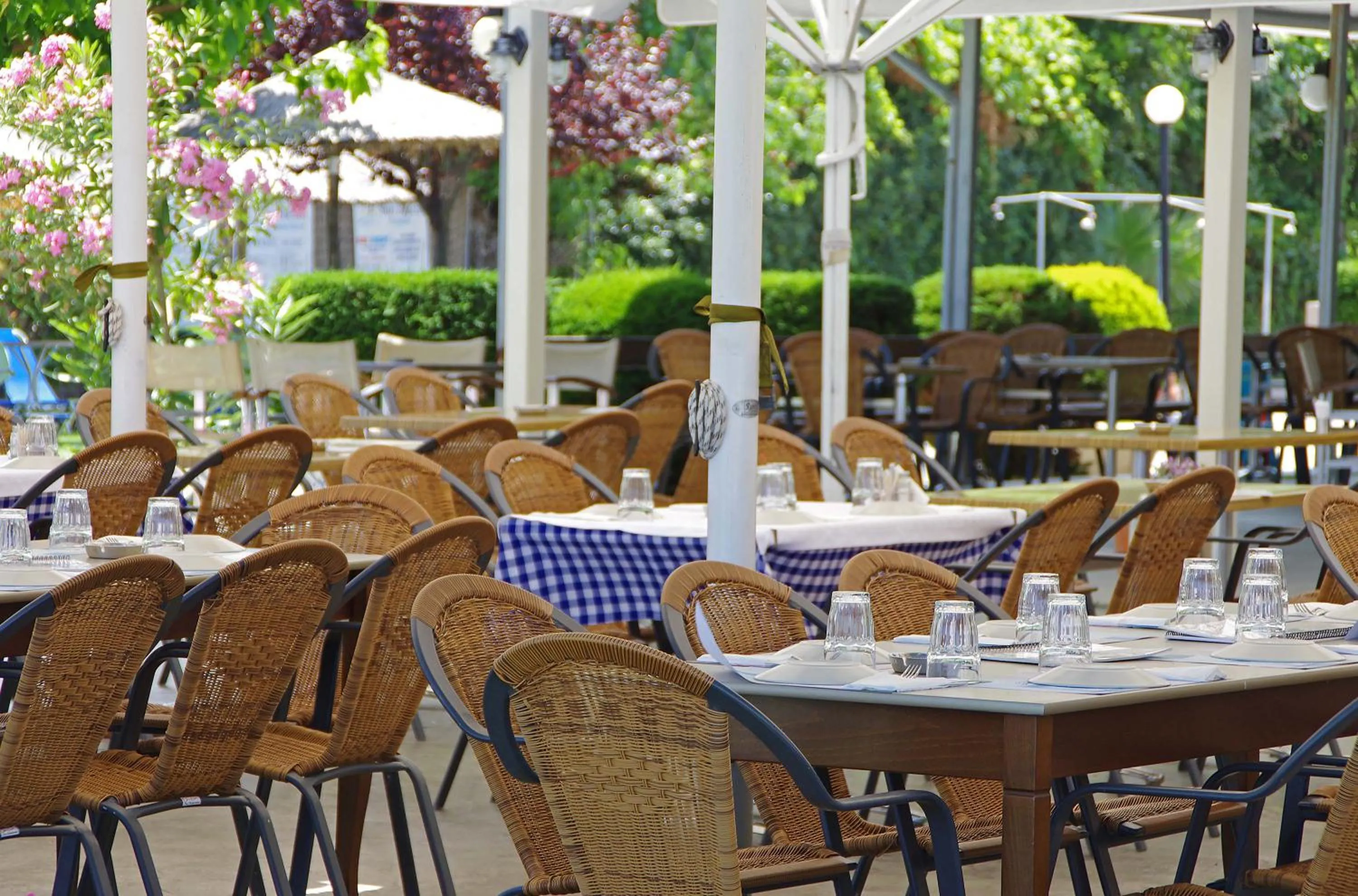 Restaurant/places to eat in Sun Beach Hotel