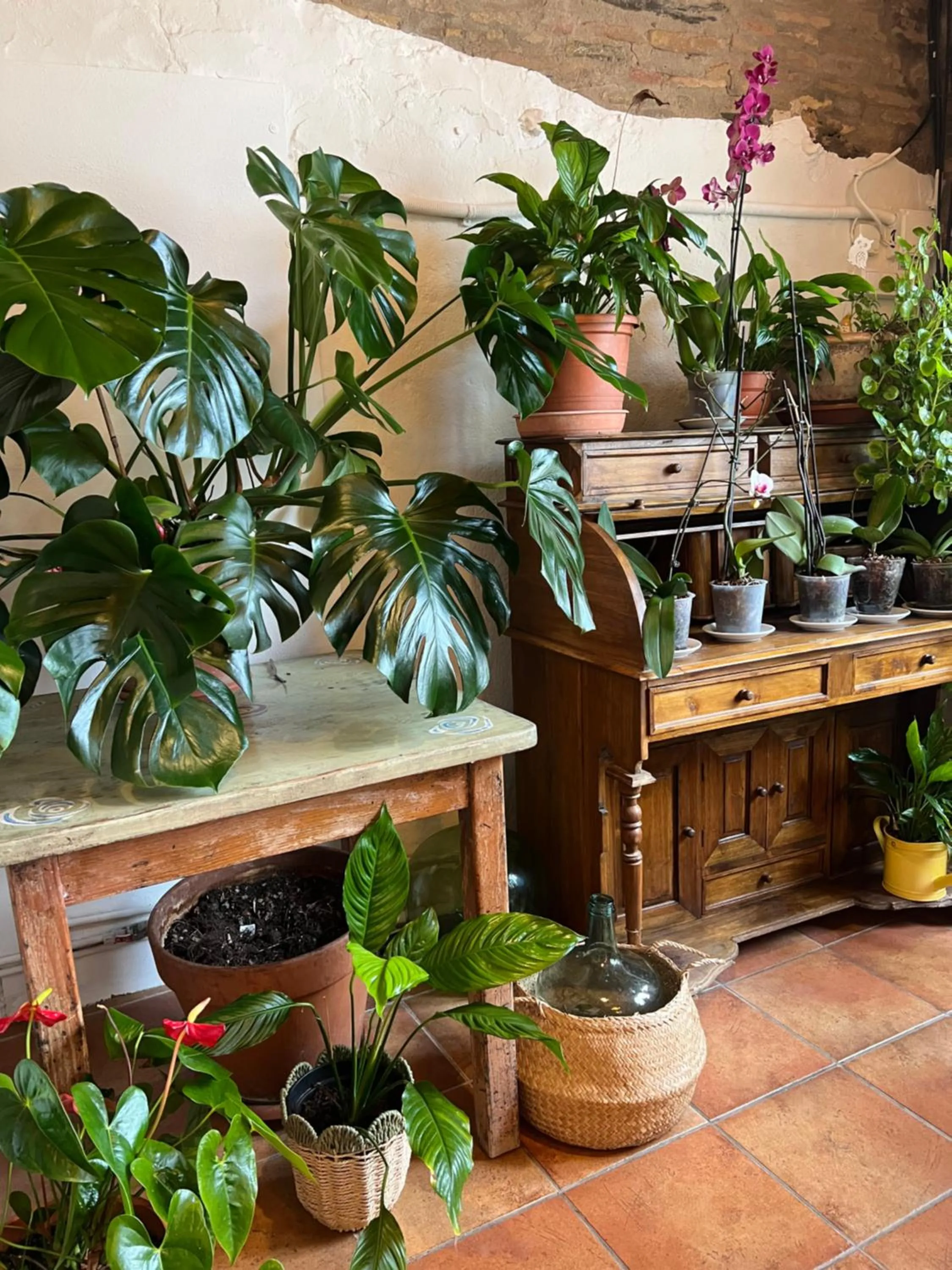 Breakfast in Hotel & Golf Ca La Caputxeta - Adults Only