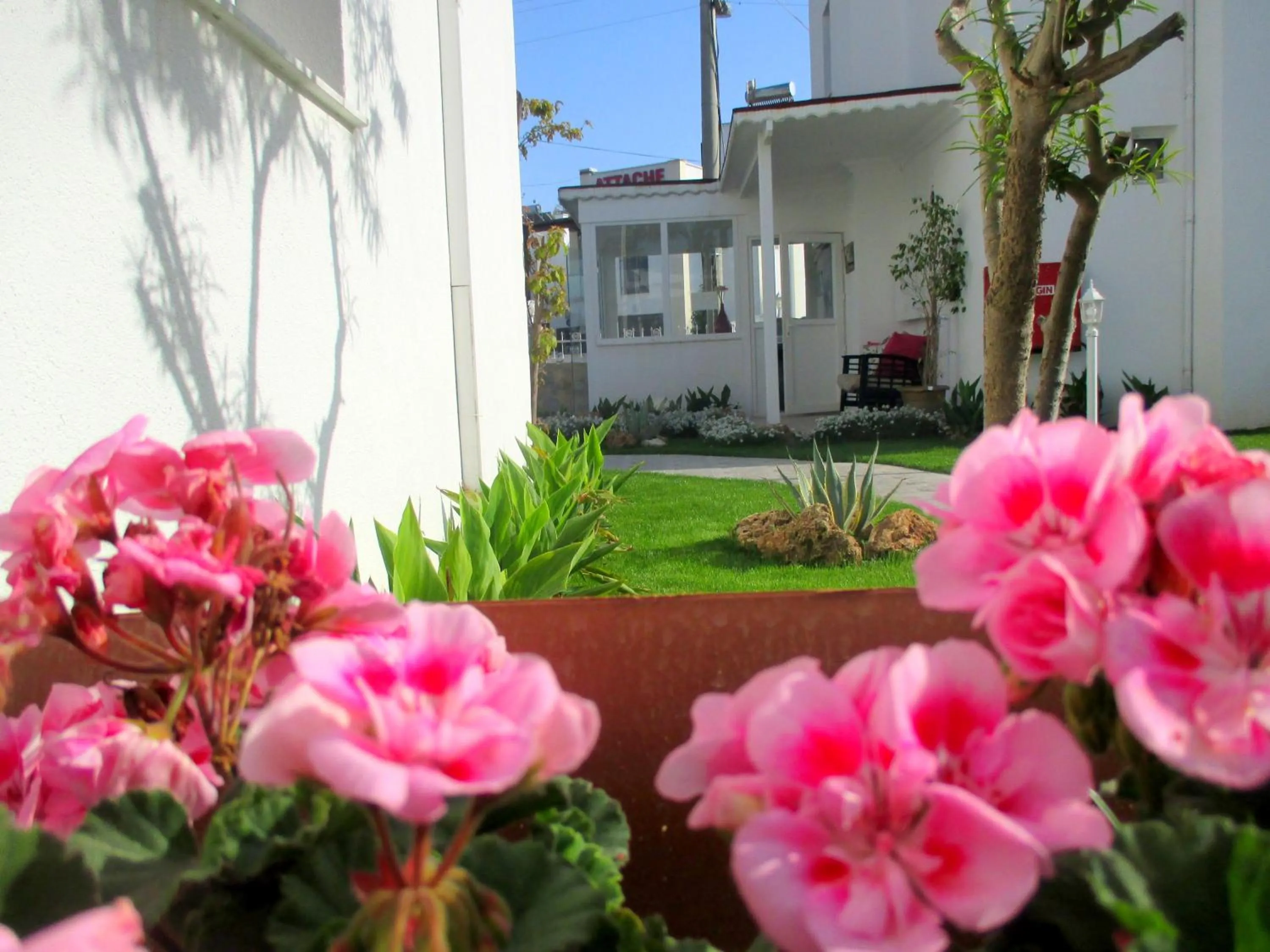 Garden in Canna Garden Hotel - Adult Only