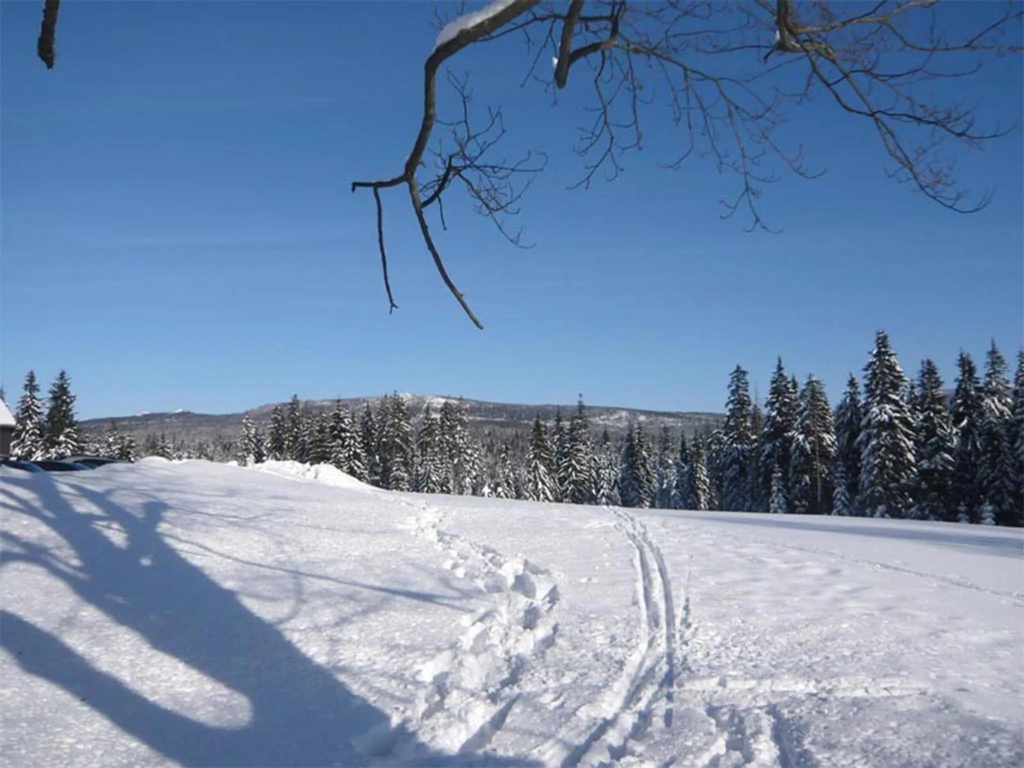 Neighbourhood in Hotel Perla Jizery