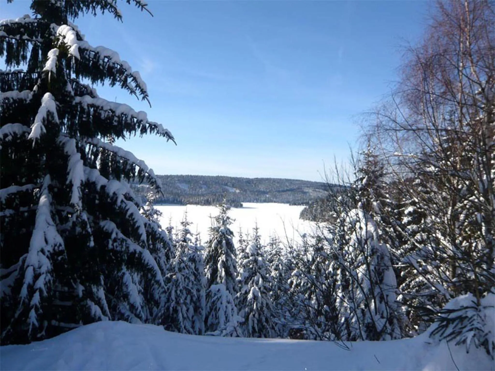 Neighbourhood in Hotel Perla Jizery