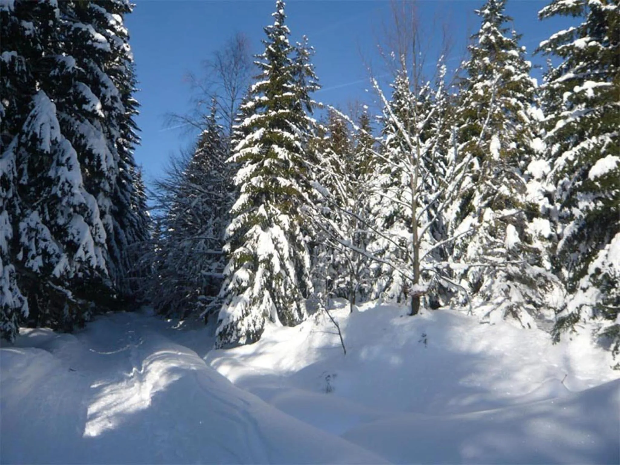 Neighbourhood in Hotel Perla Jizery