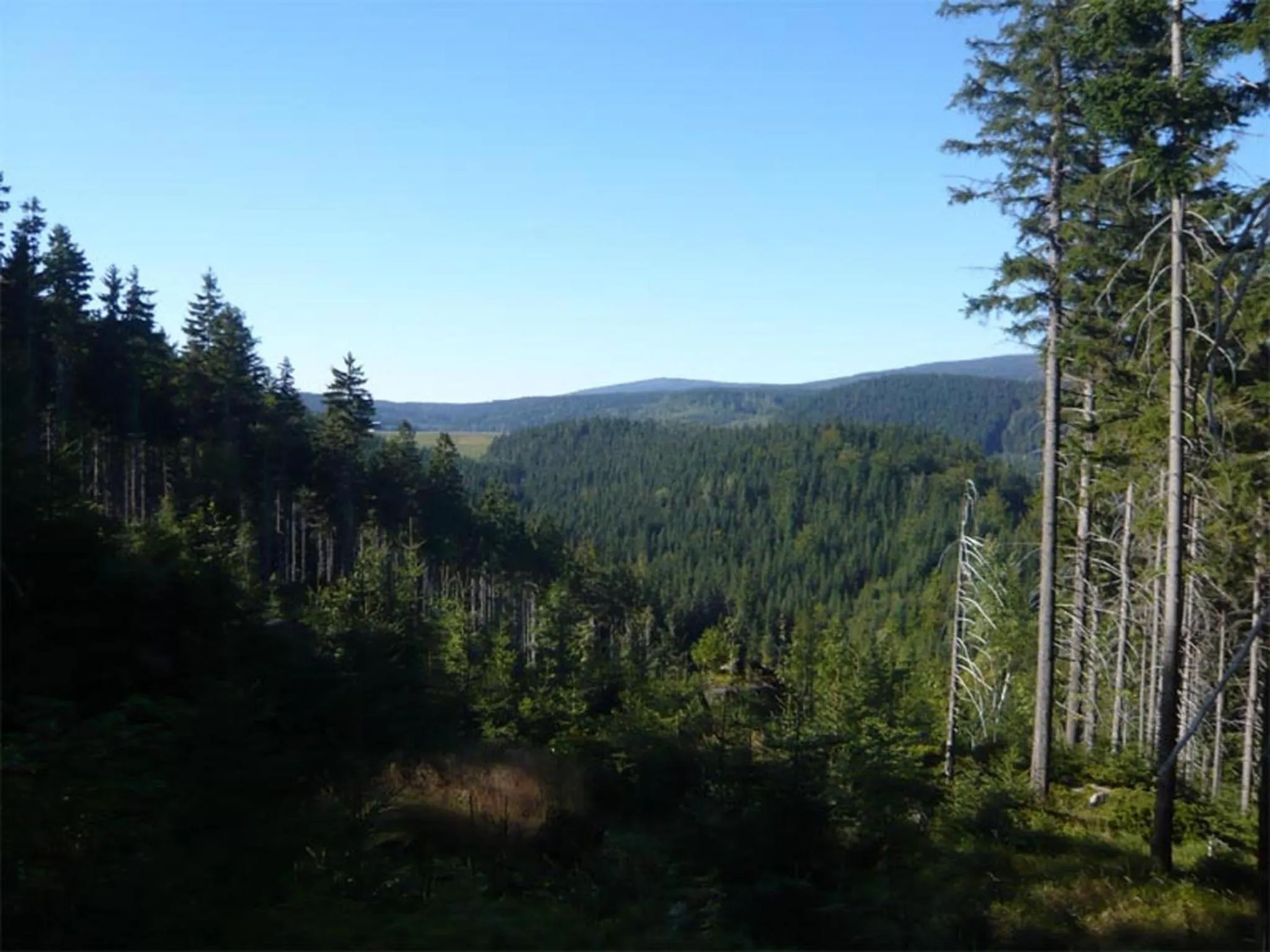 Neighbourhood in Hotel Perla Jizery