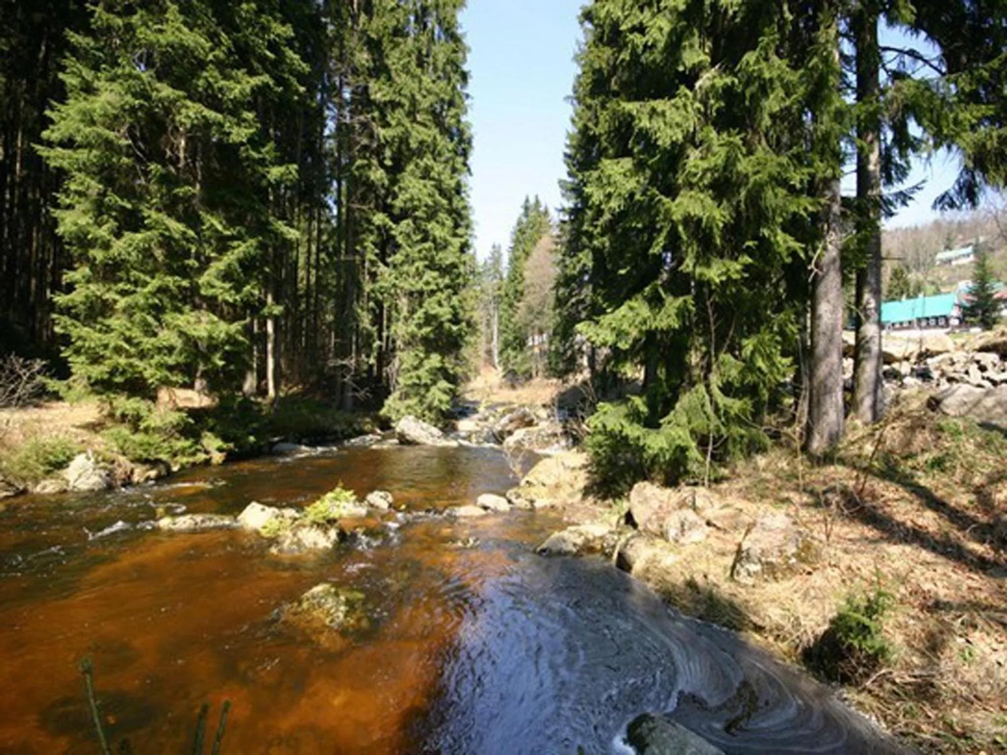 Neighbourhood in Hotel Perla Jizery