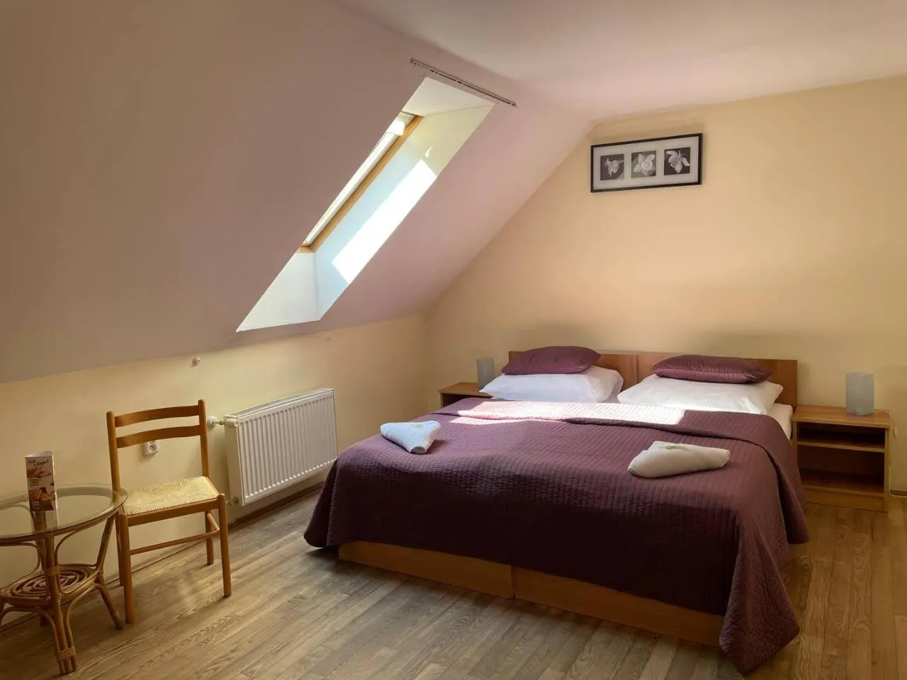 Double or Twin Room with Shared Bathroom in Hotel STARÝ PIVOVAR