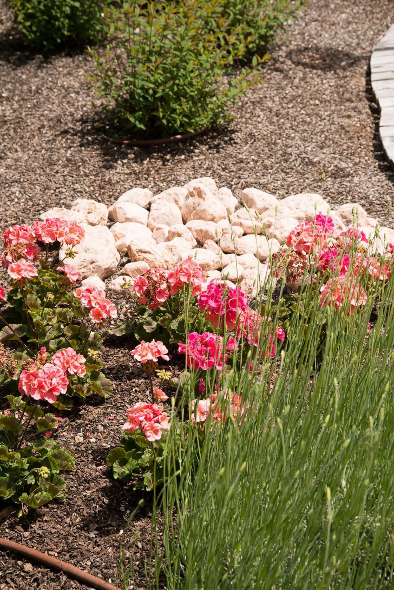 Spring in Lady Maria Hotel Wellness & Resort