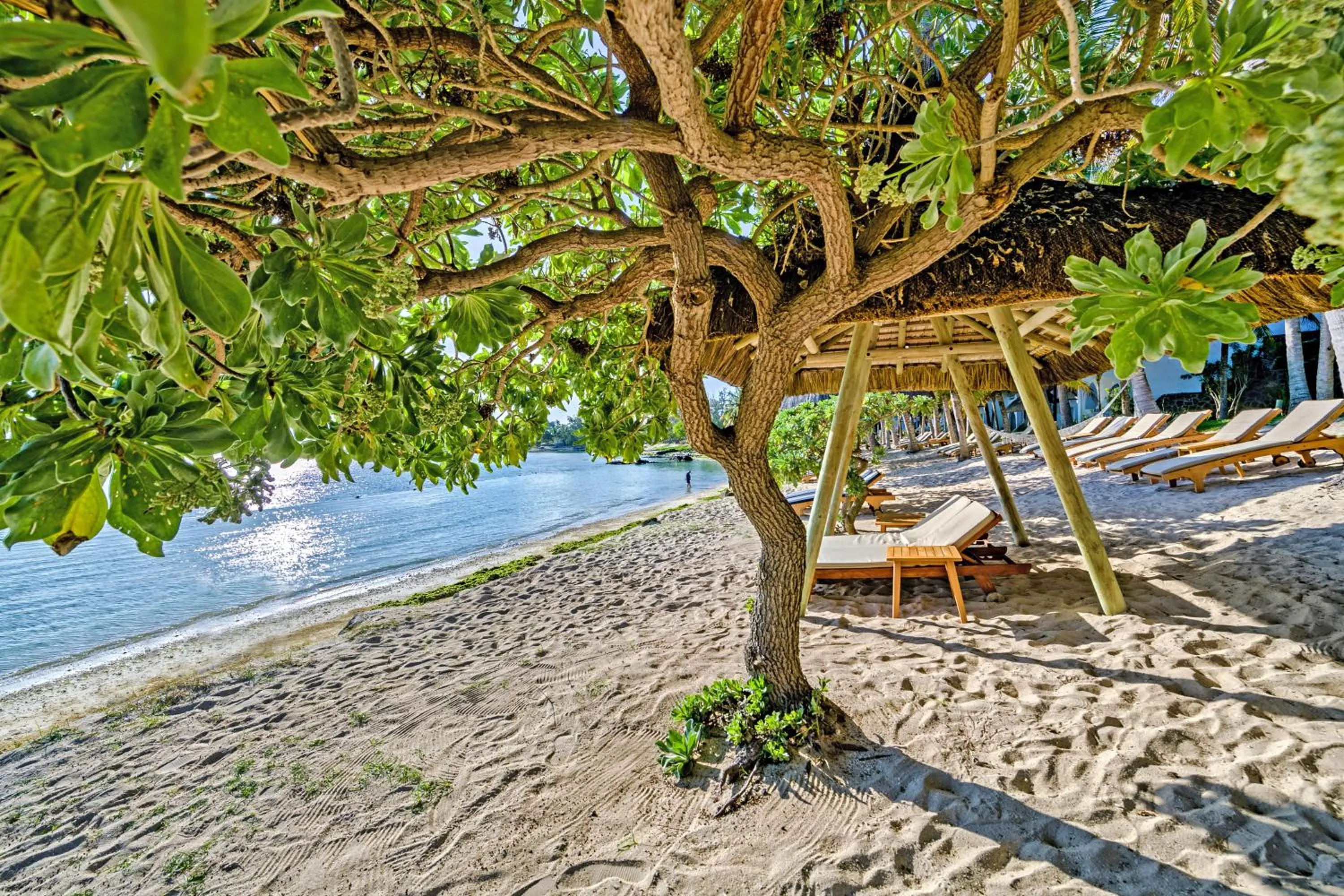 Beach in Seasense Boutique Hotel & Spa