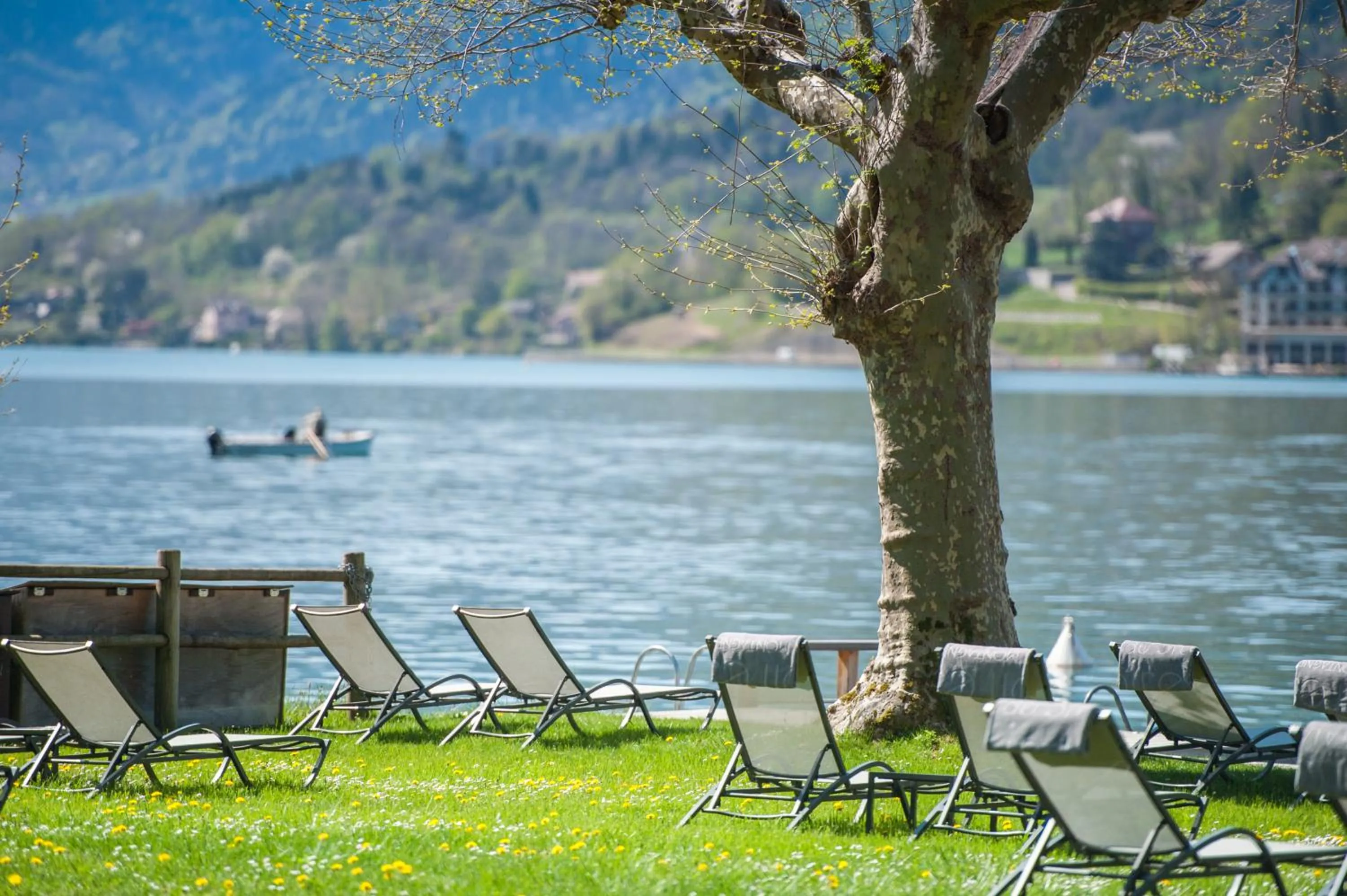 Lake view in Hôtel Beau Site Talloires B SPA