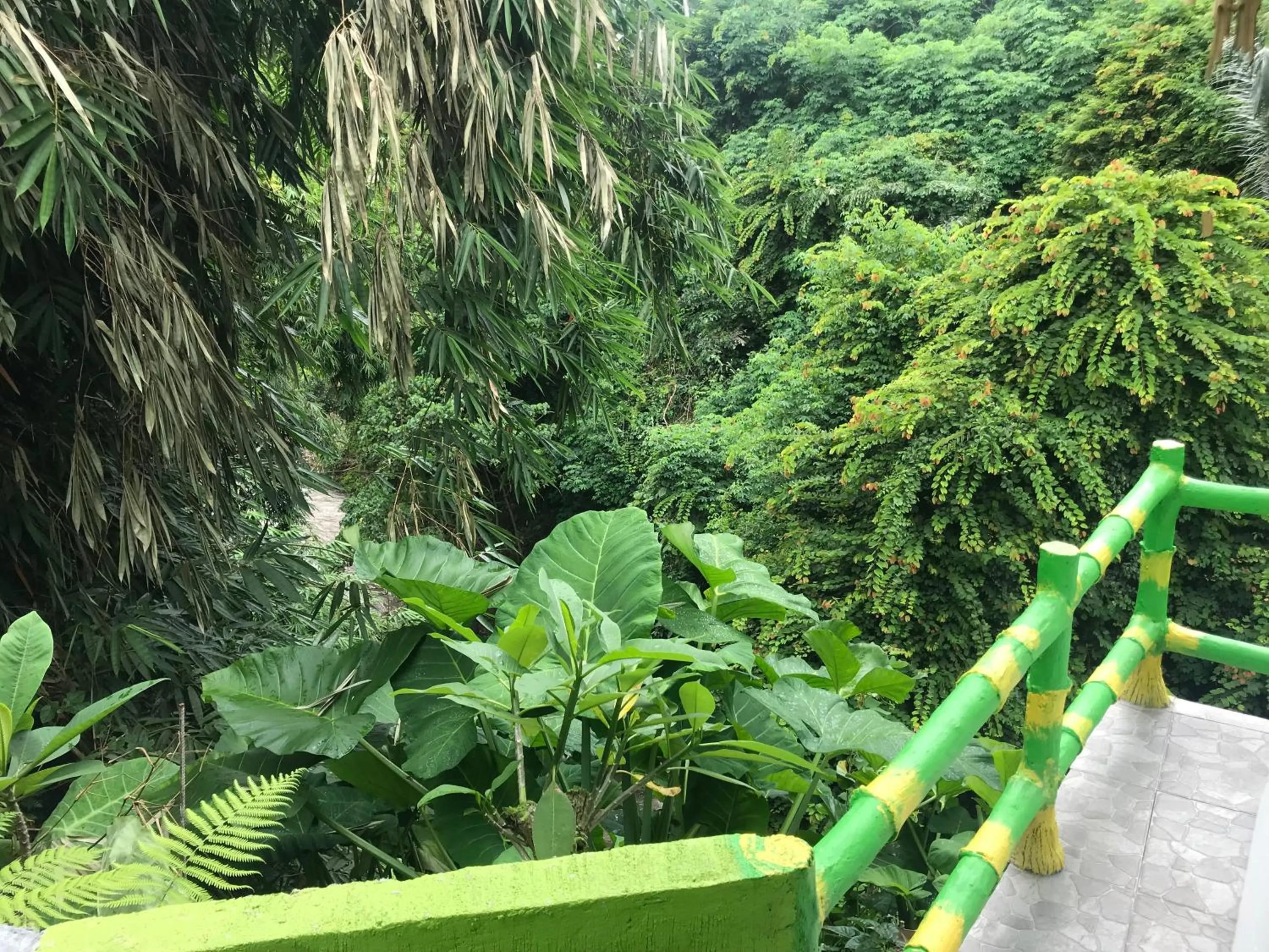 River view in WW Backpackers