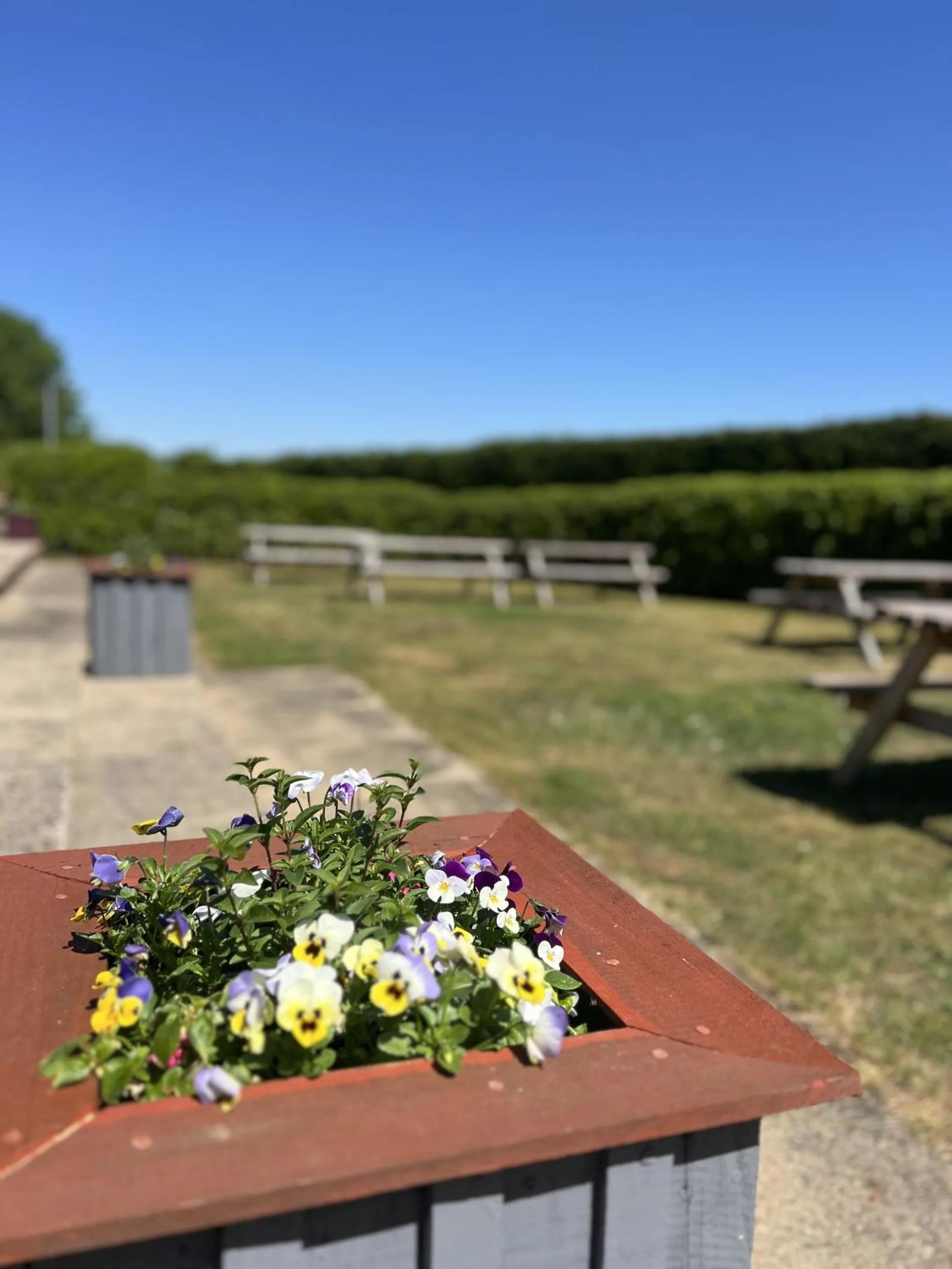 Property building in The Parson Woodforde