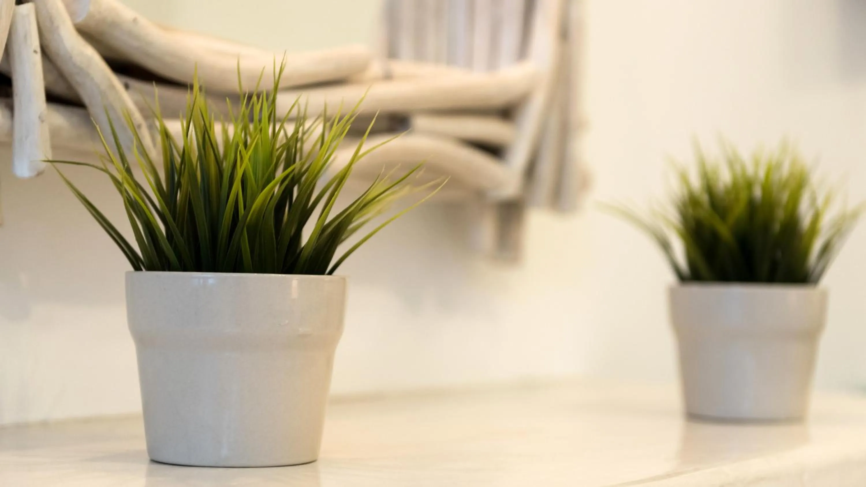 Other in Dream Island Hotel