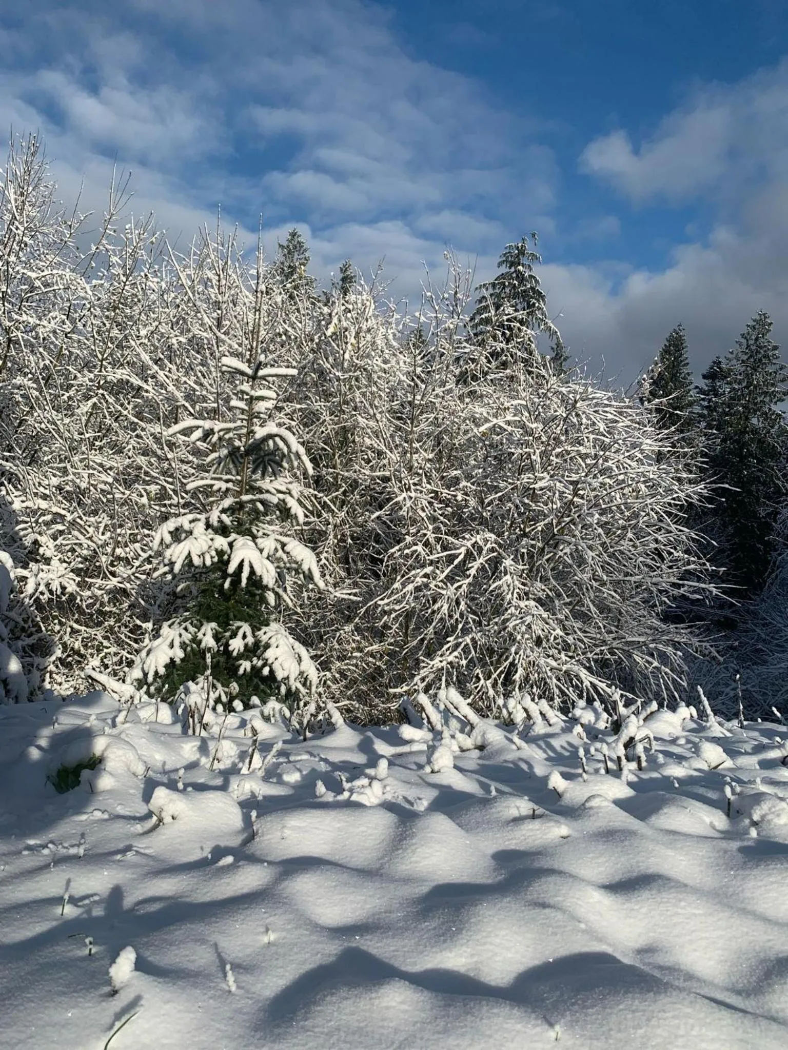 Waldhotel "Peter aufm Berge"
