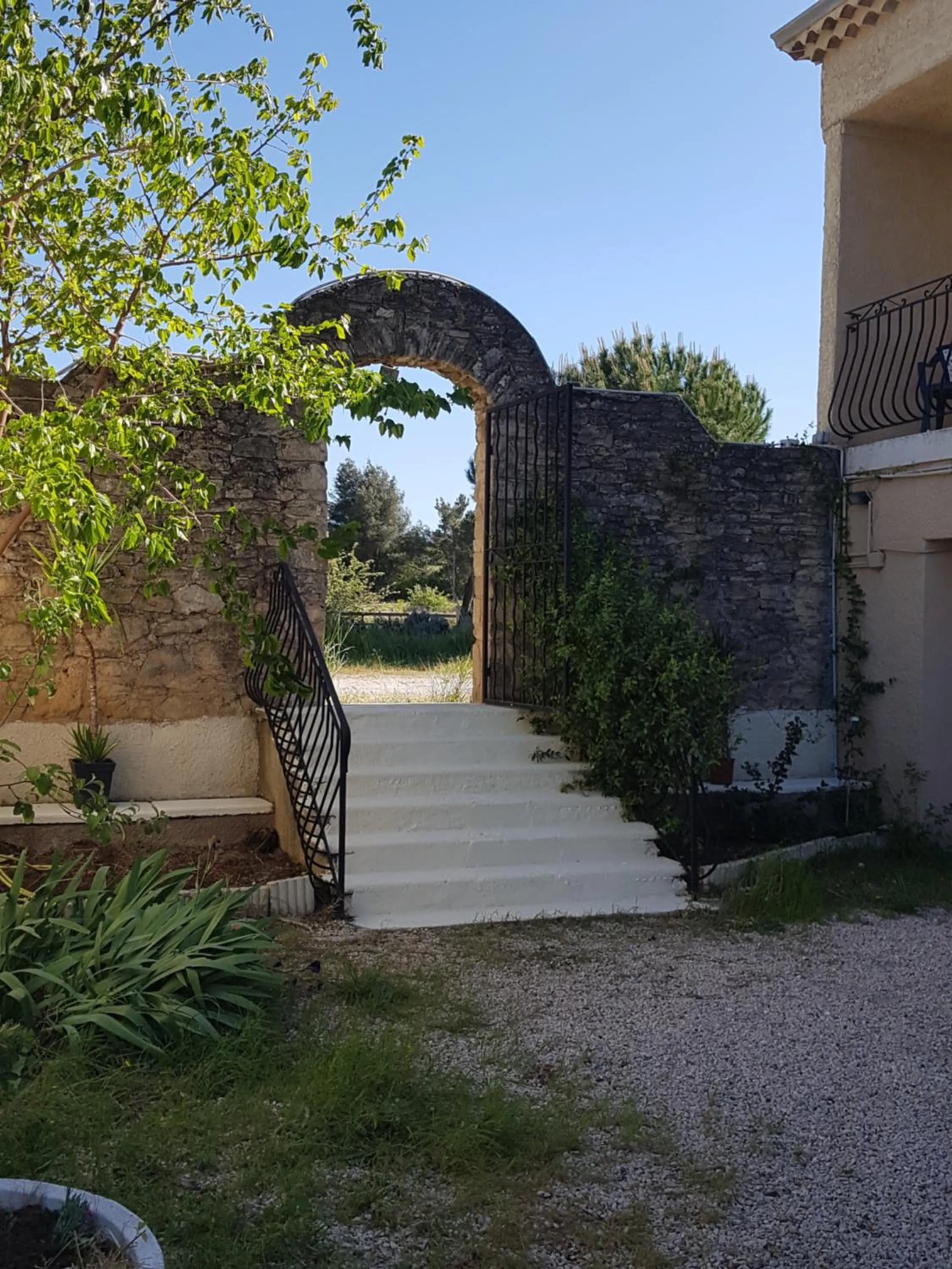 Garden in Hotel Carina