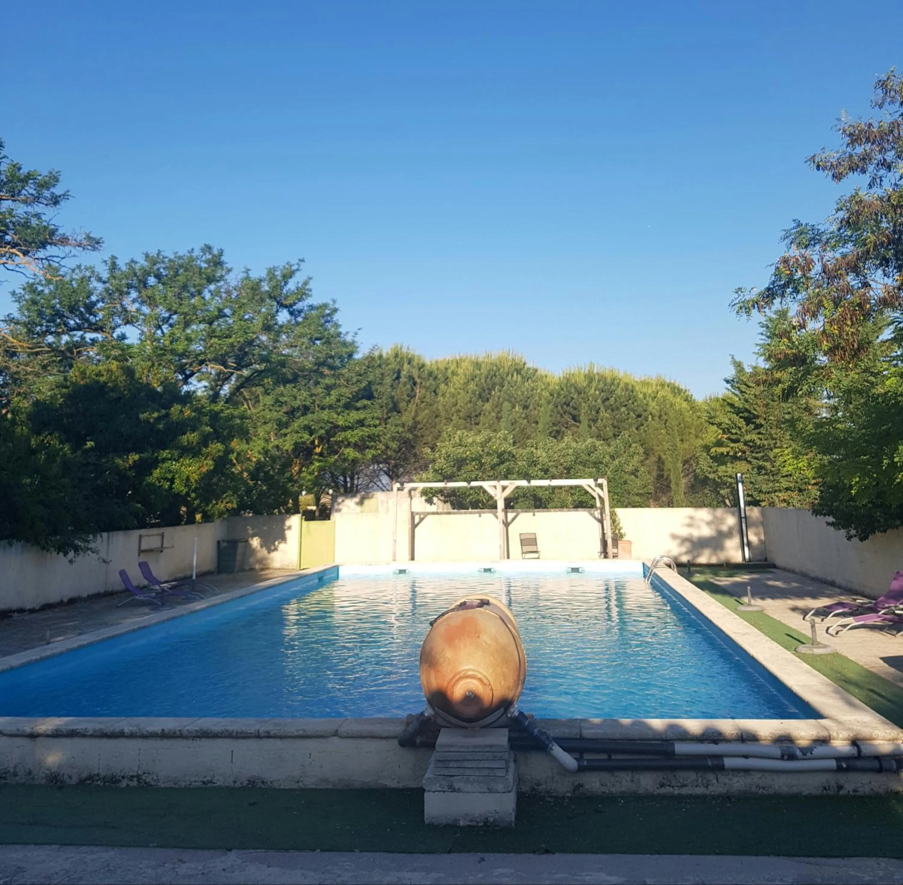 Swimming pool in Hotel Carina
