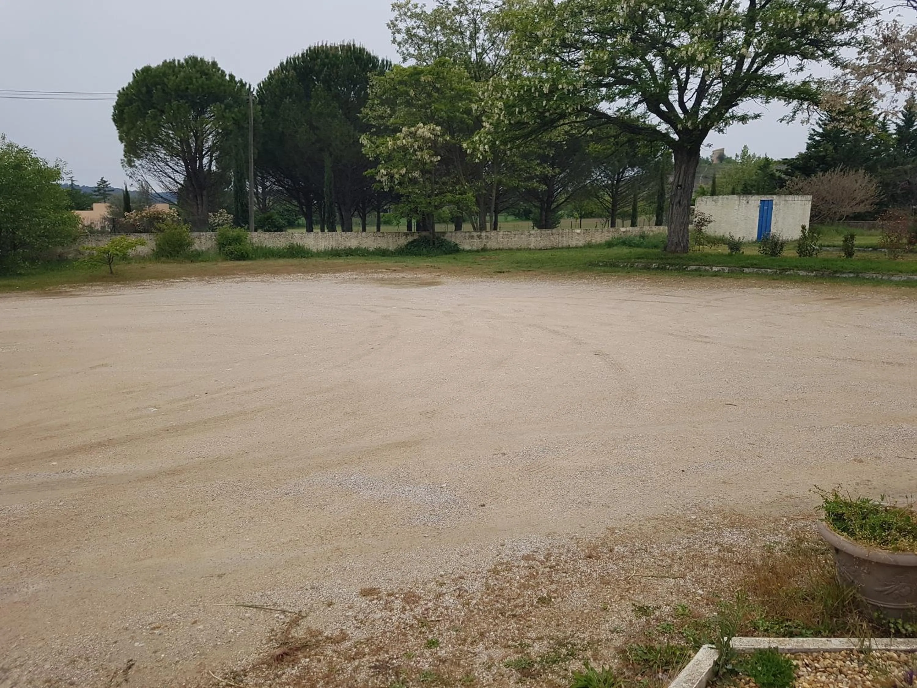 Area and facilities in Hotel Carina