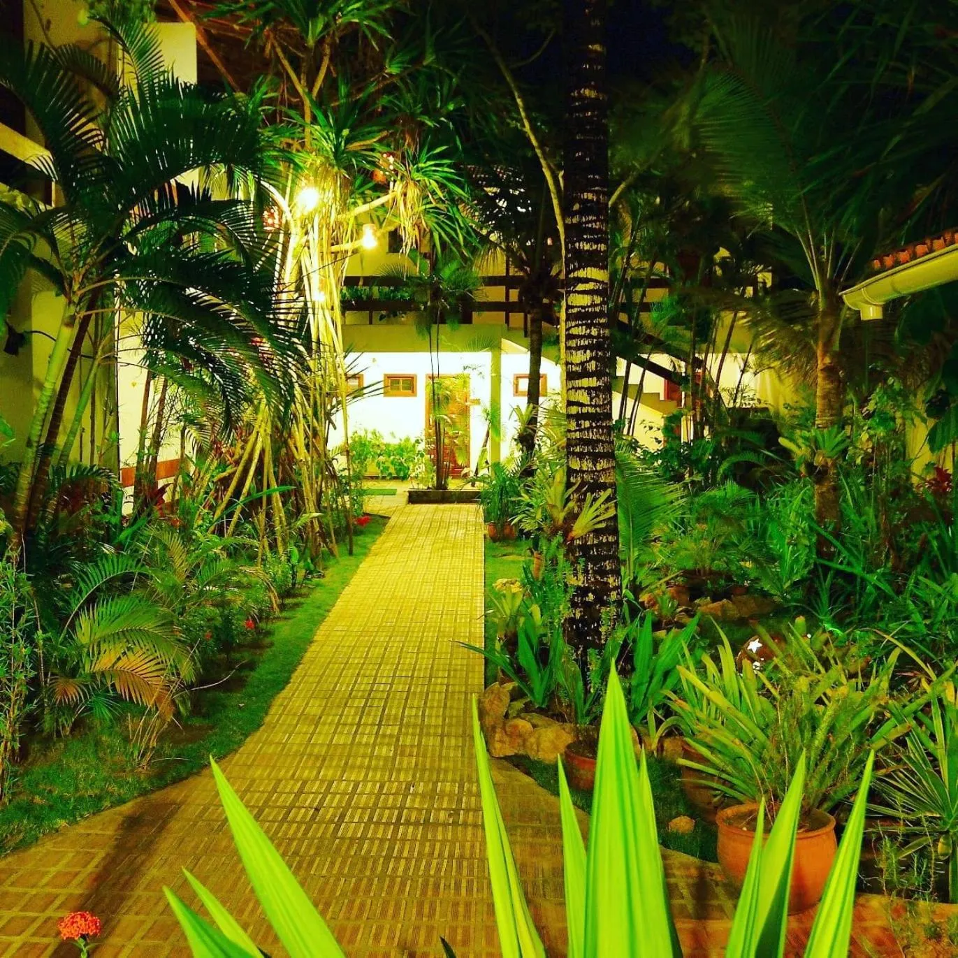 Garden in Pousada Guaratiba