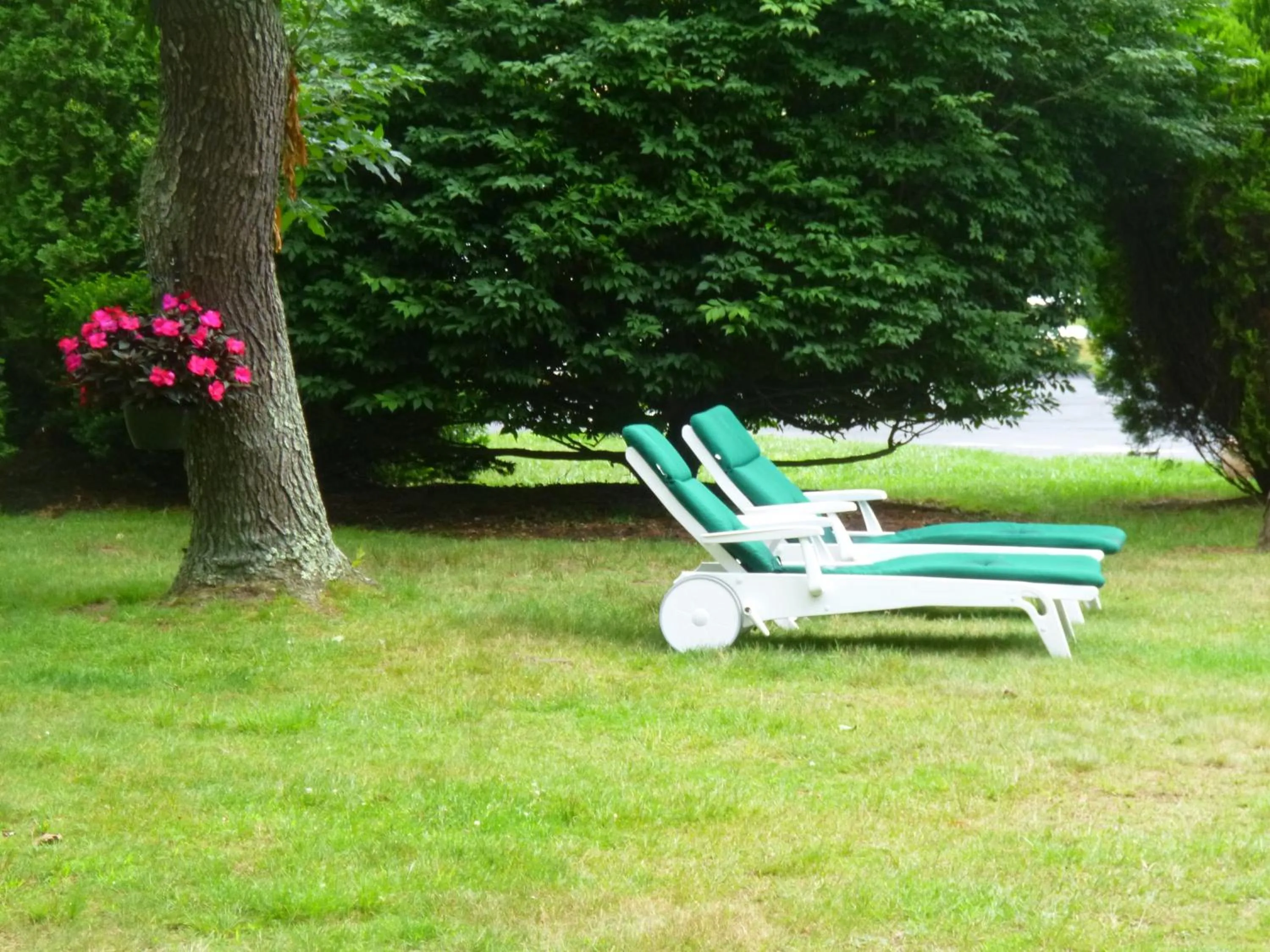 Day in Falmouth Heights Motor Lodge