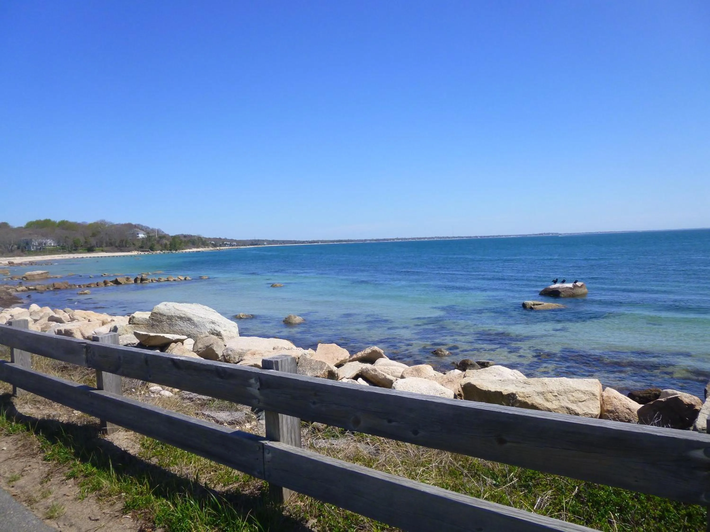 Natural landscape in Falmouth Heights Motor Lodge